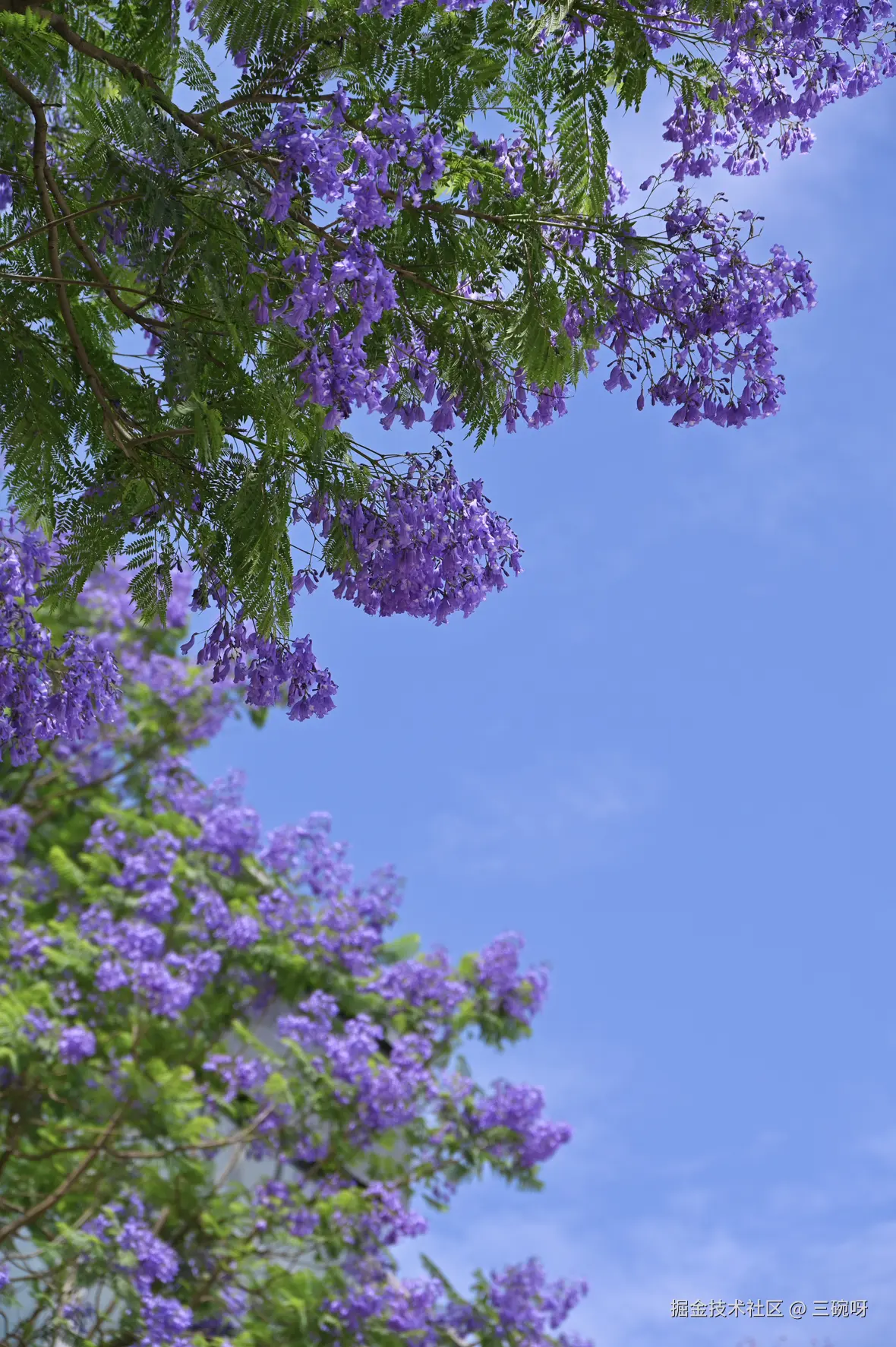 三碗呀于2025-05-26 10:33发布的图片