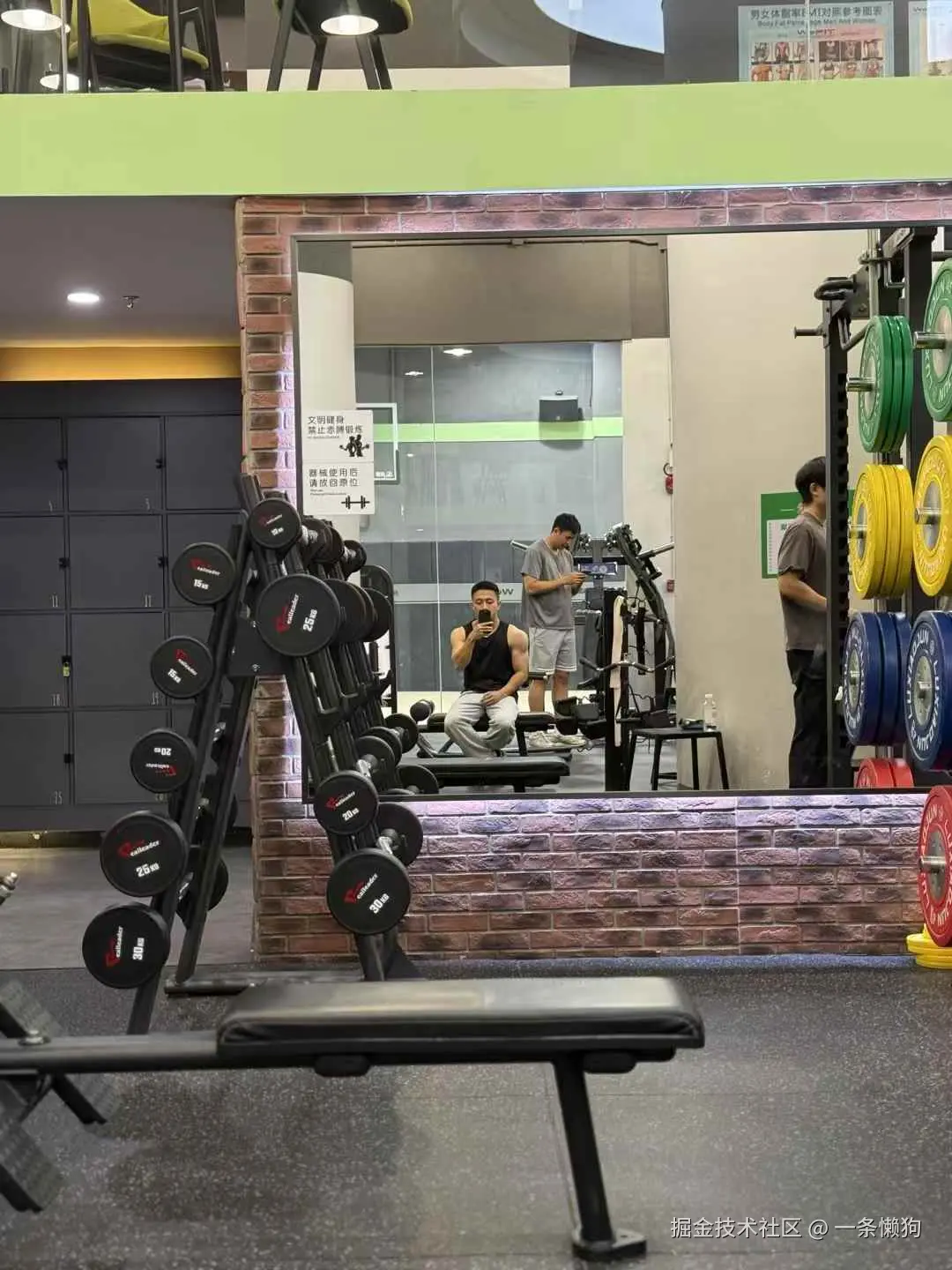 一条懒狗于2025-12-02 09:16发布的图片