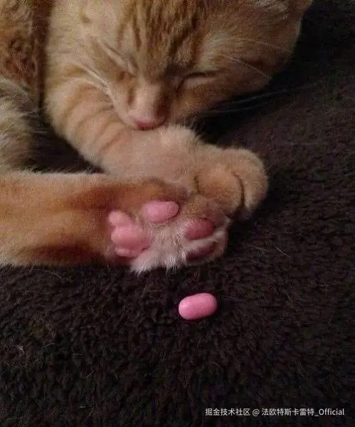 法欧特斯卡雷特_Official于2024-11-26 09:44发布的图片