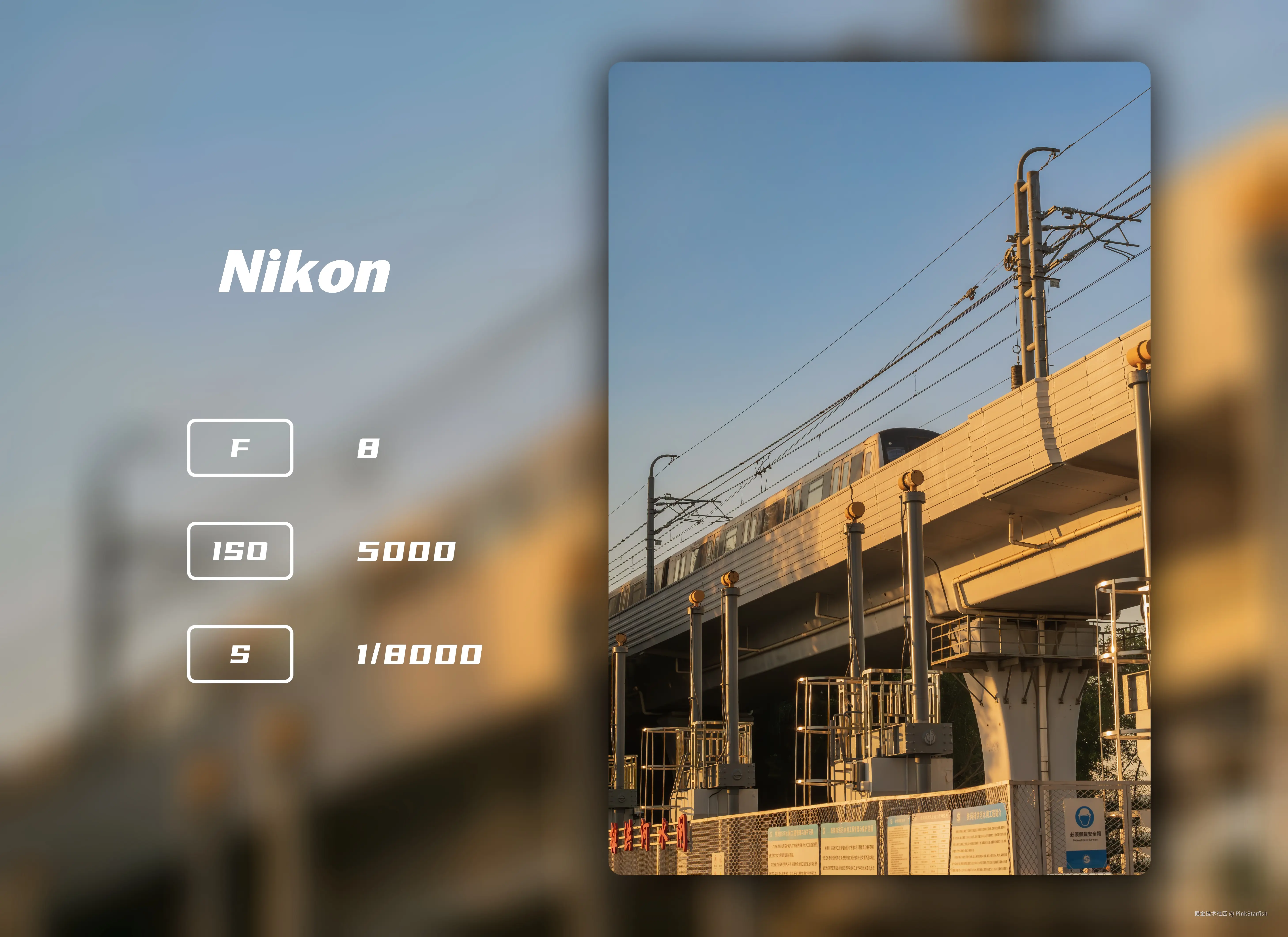 PinkStarfish于2025-06-10 10:49发布的图片