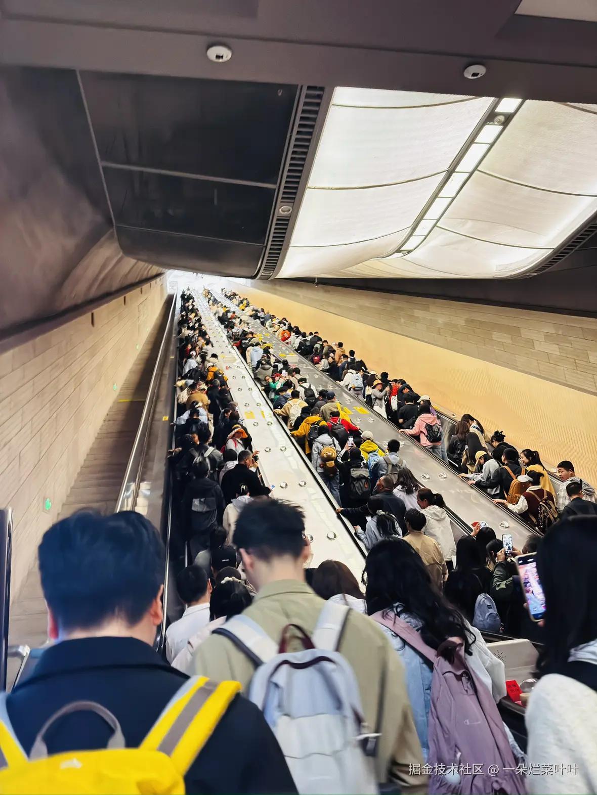 一朵烂菜叶叶于2026-04-13 11:05发布的图片