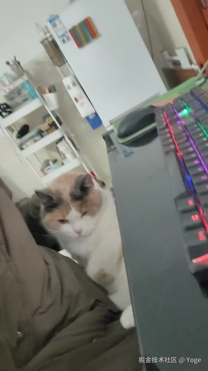 Yoge于2025-02-25 17:57发布的图片