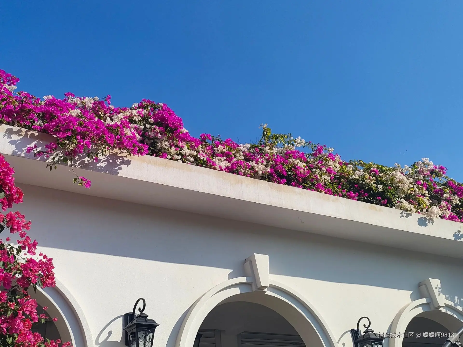 媛媛啊9813于2024-11-12 07:14发布的图片