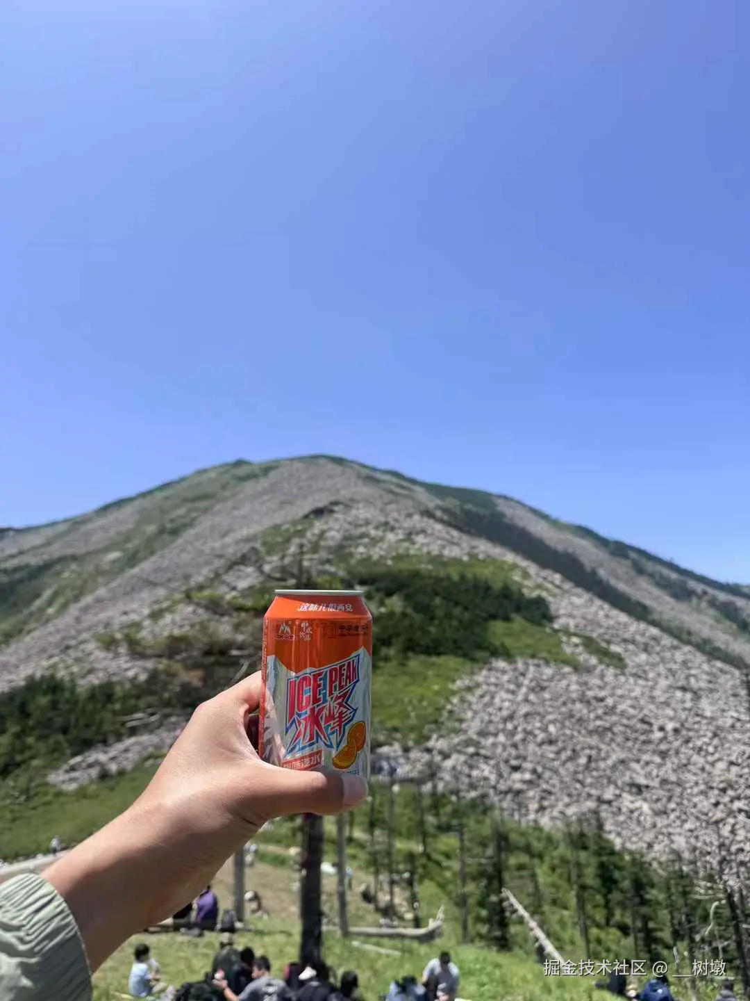 __树墩于2025-06-16 10:33发布的图片