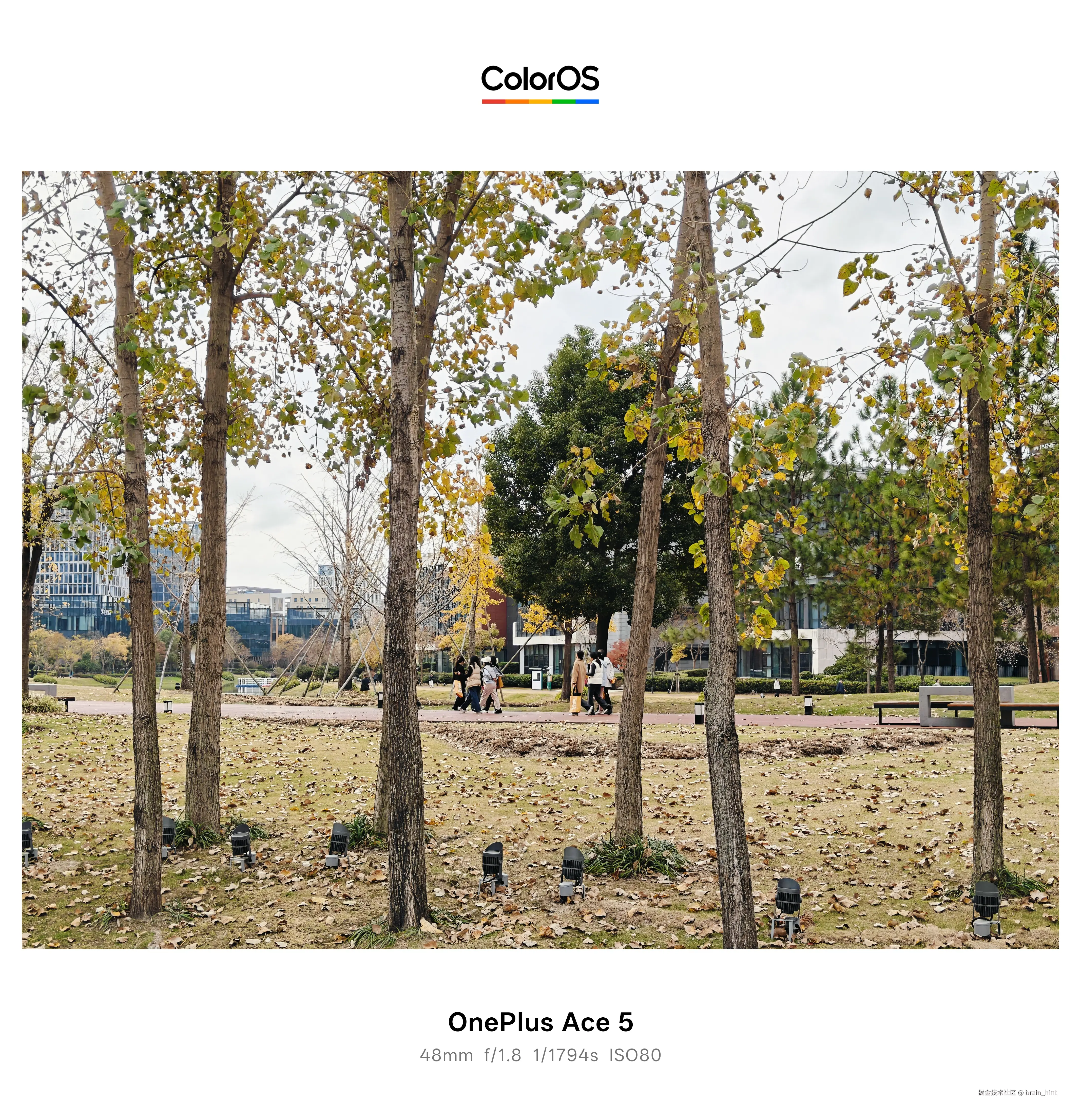 brain_hint于2025-12-10 12:53发布的图片