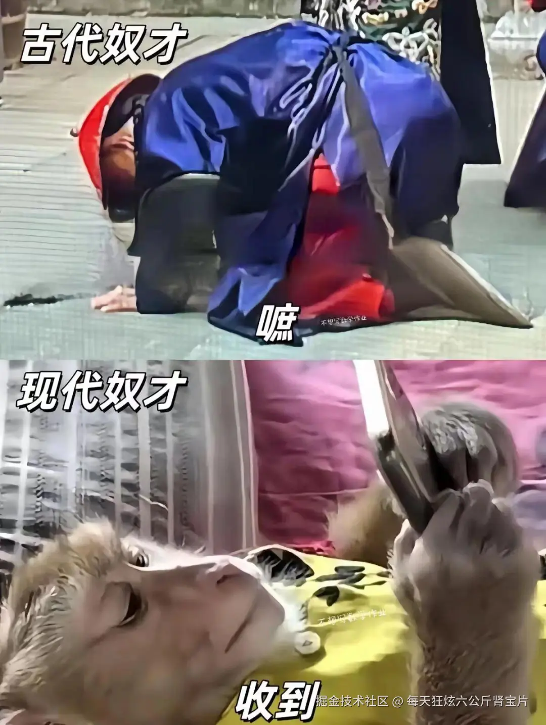 每天狂炫六公斤肾宝片于2024-07-30 16:50发布的图片