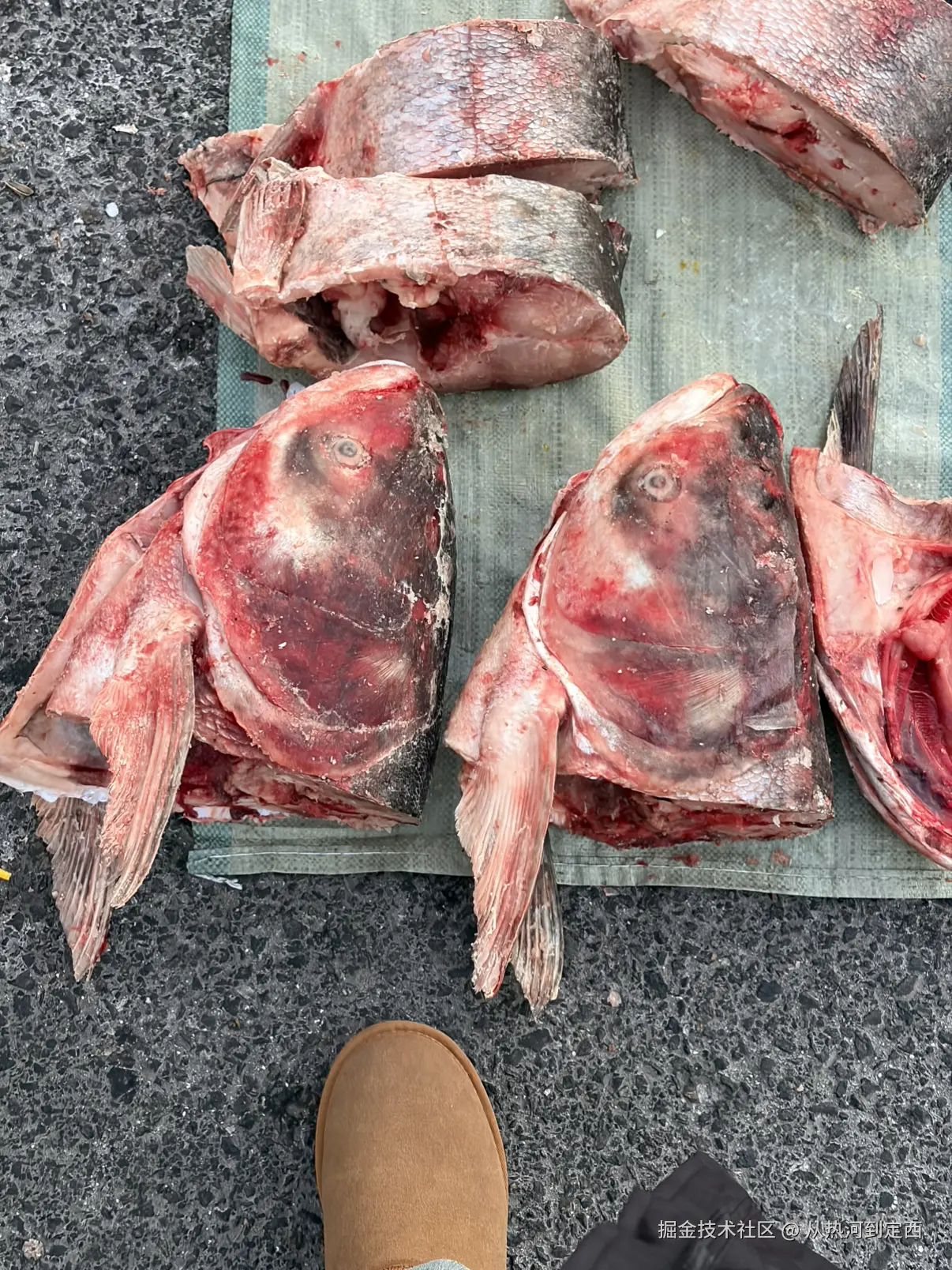 从热河到定西于2025-12-15 13:50发布的图片