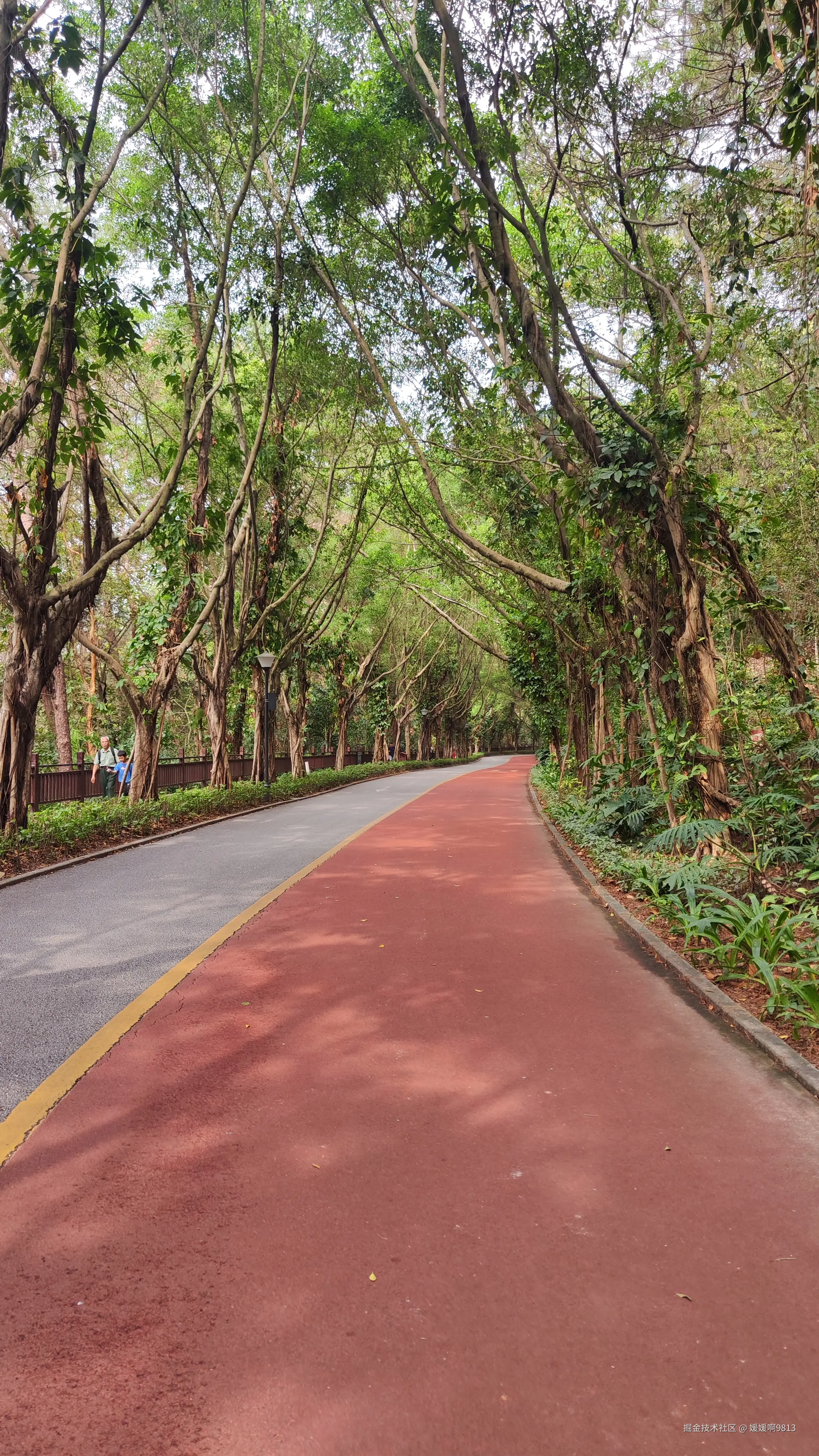 媛媛啊9813于2025-05-08 06:30发布的图片