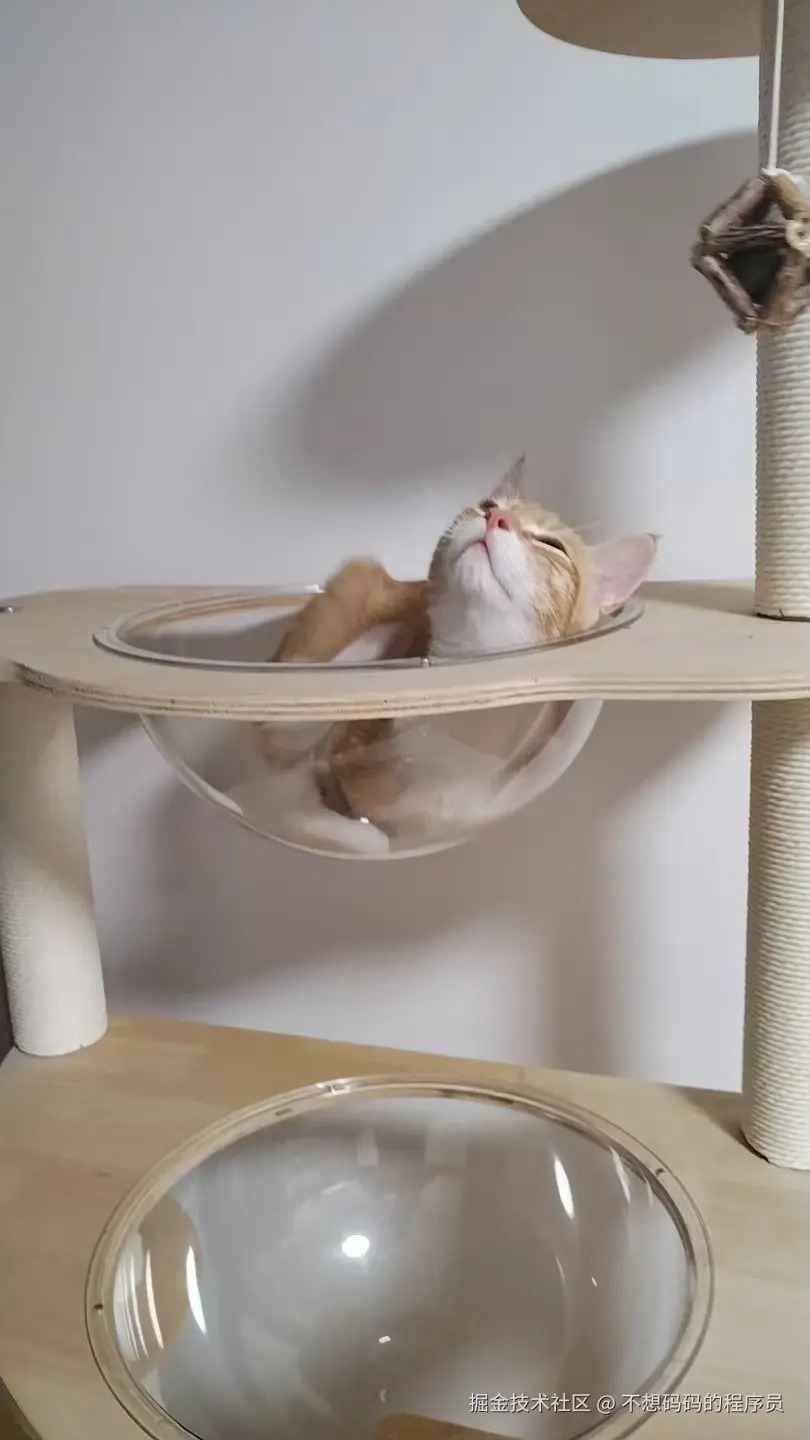 不想码码的程序员于2025-08-12 14:23发布的图片