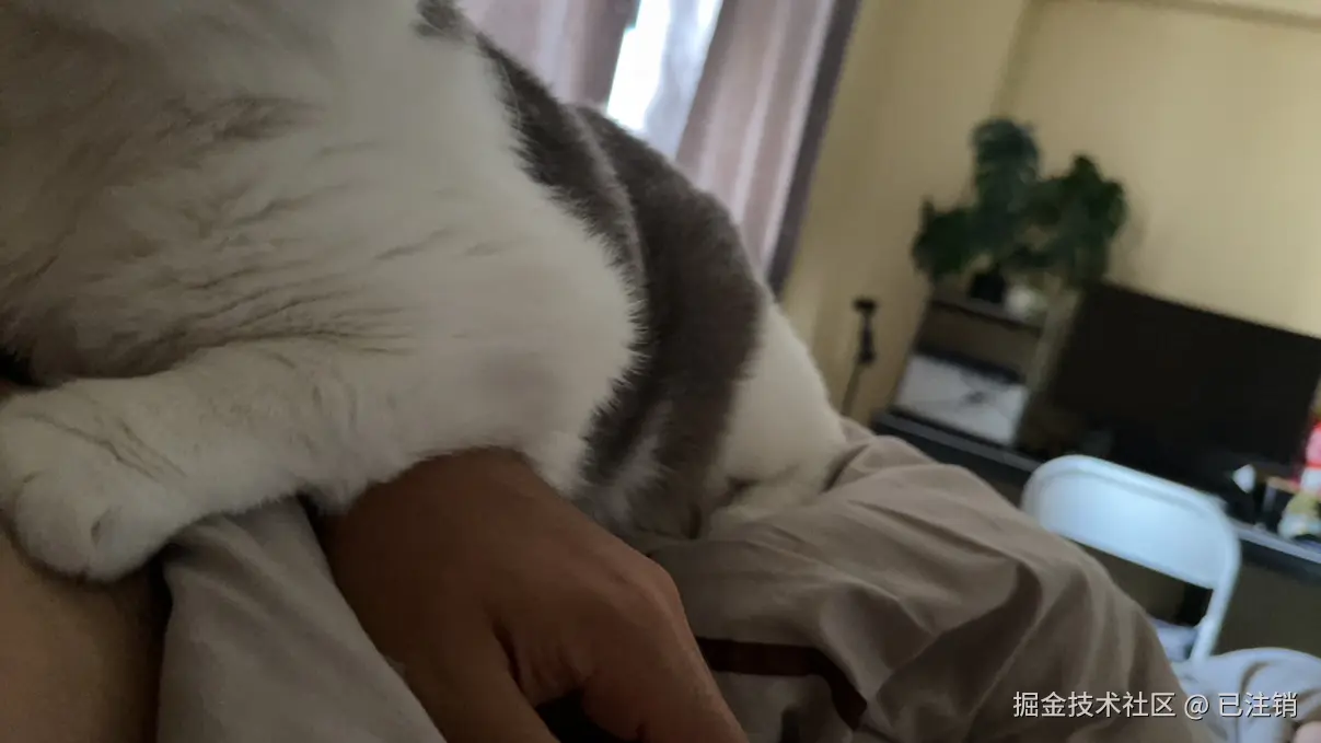 已注销于2025-06-25 09:21发布的图片