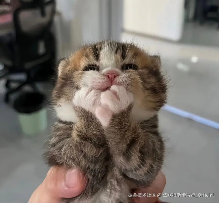 法欧特斯卡雷特_Official于2024-11-19 08:52发布的图片