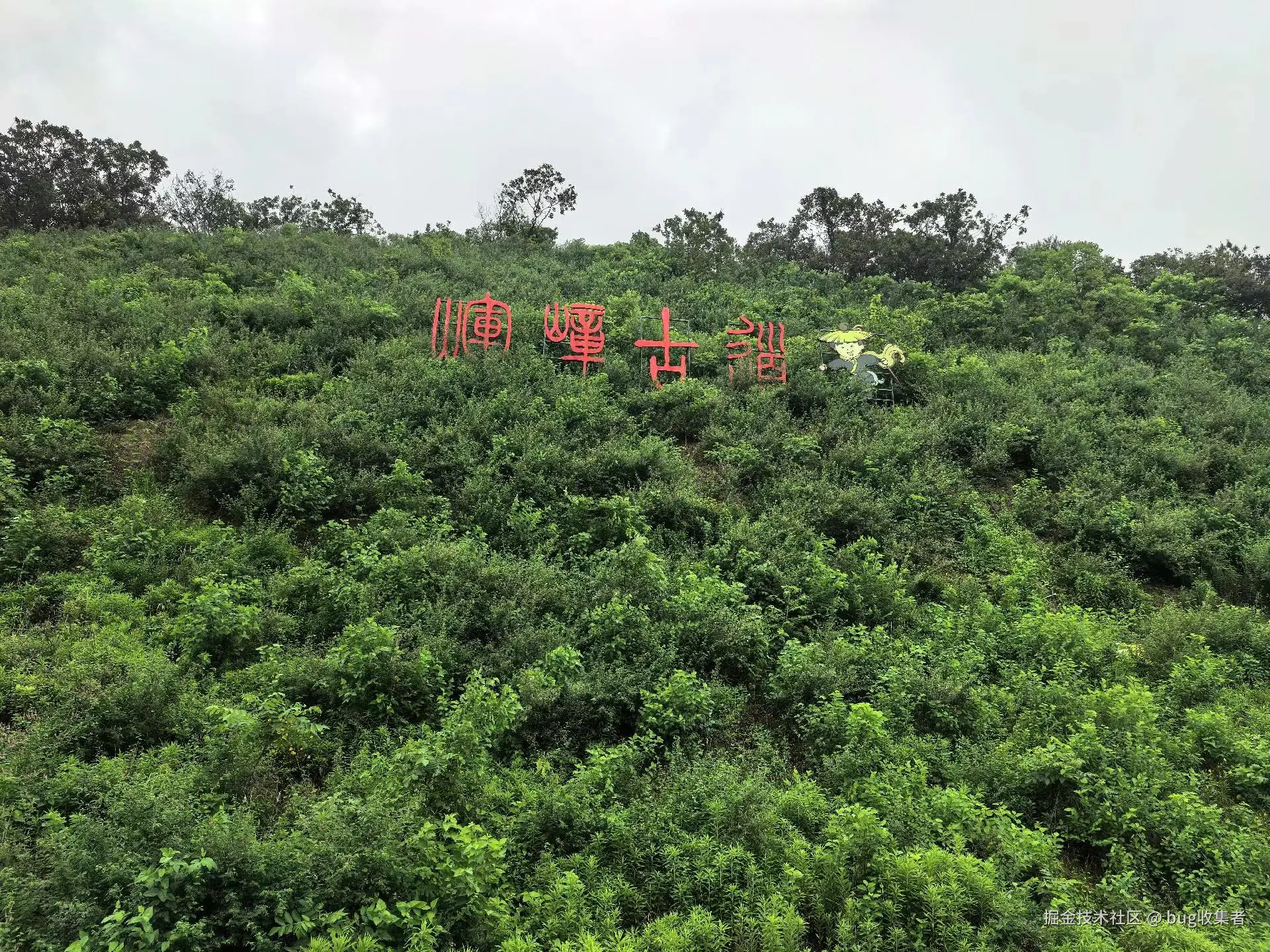 bug收集者于2025-06-23 09:04发布的图片