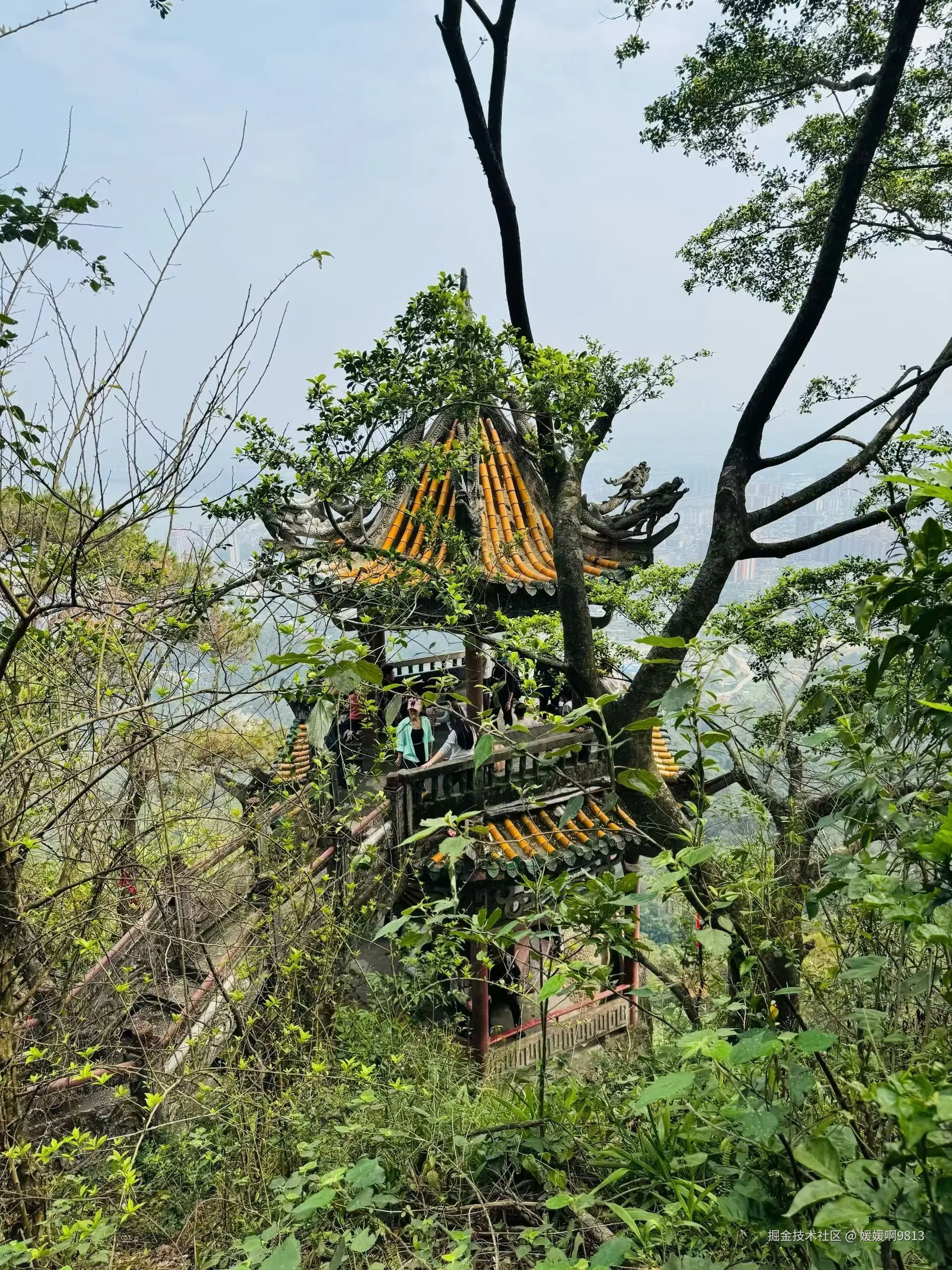 媛媛啊9813于2026-03-07 22:05发布的图片