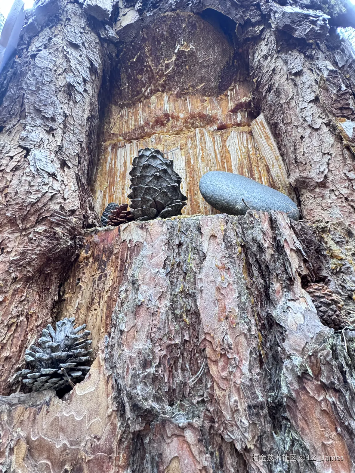 LZ_James于2025-05-06 10:29发布的图片