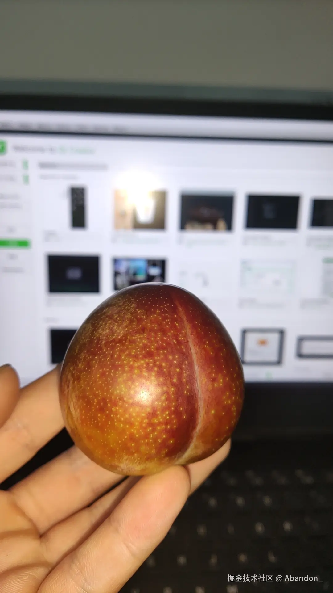 Abandon_于2024-07-20 13:13发布的图片