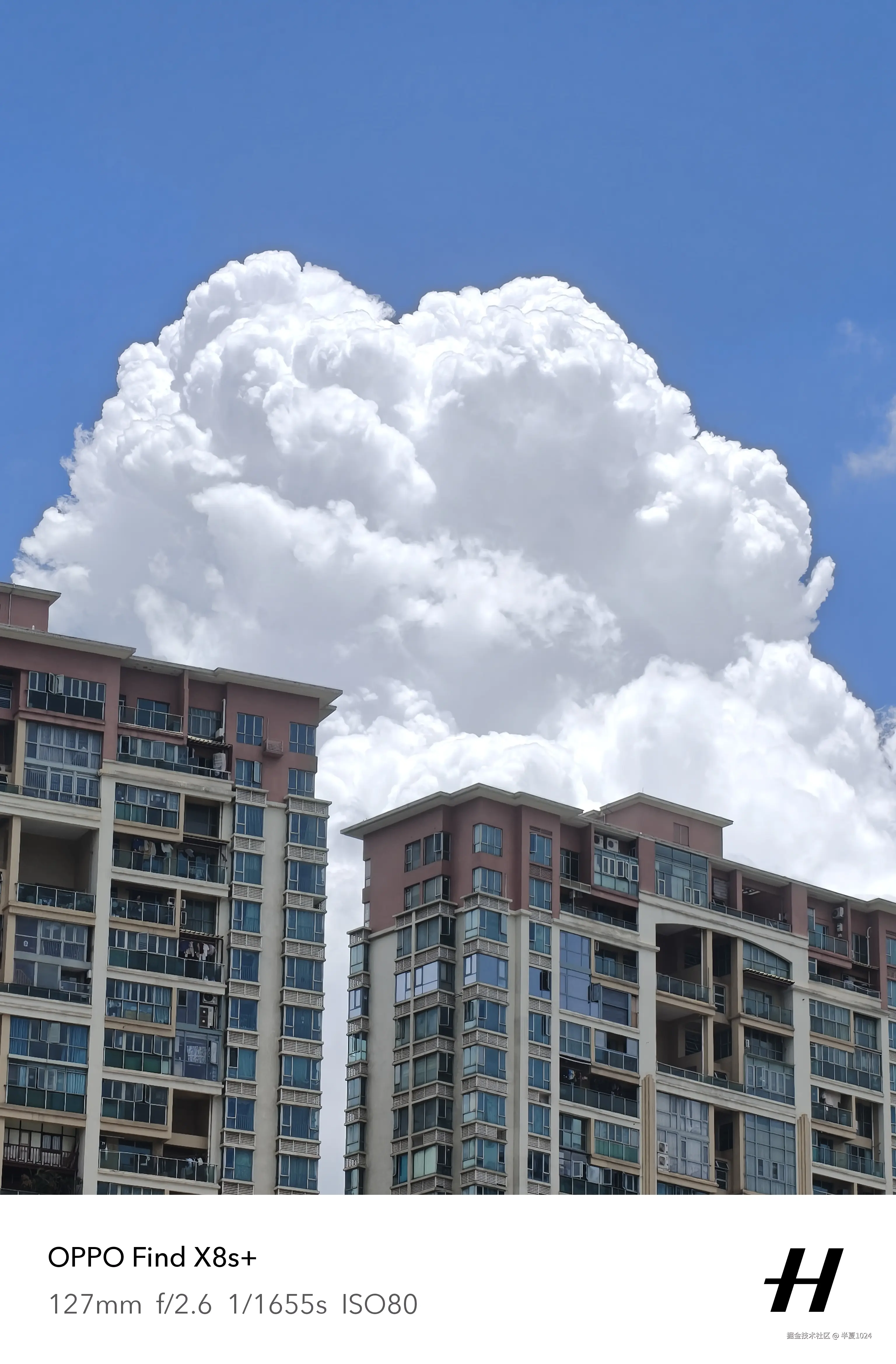 半夏1024于2025-07-02 15:38发布的图片