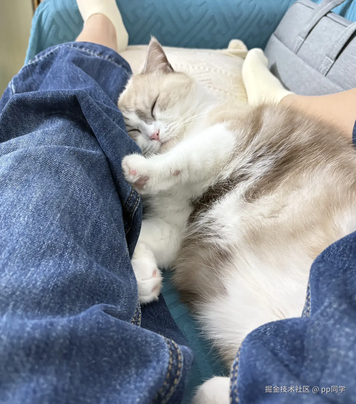 pp同学于2025-11-23 16:43发布的图片