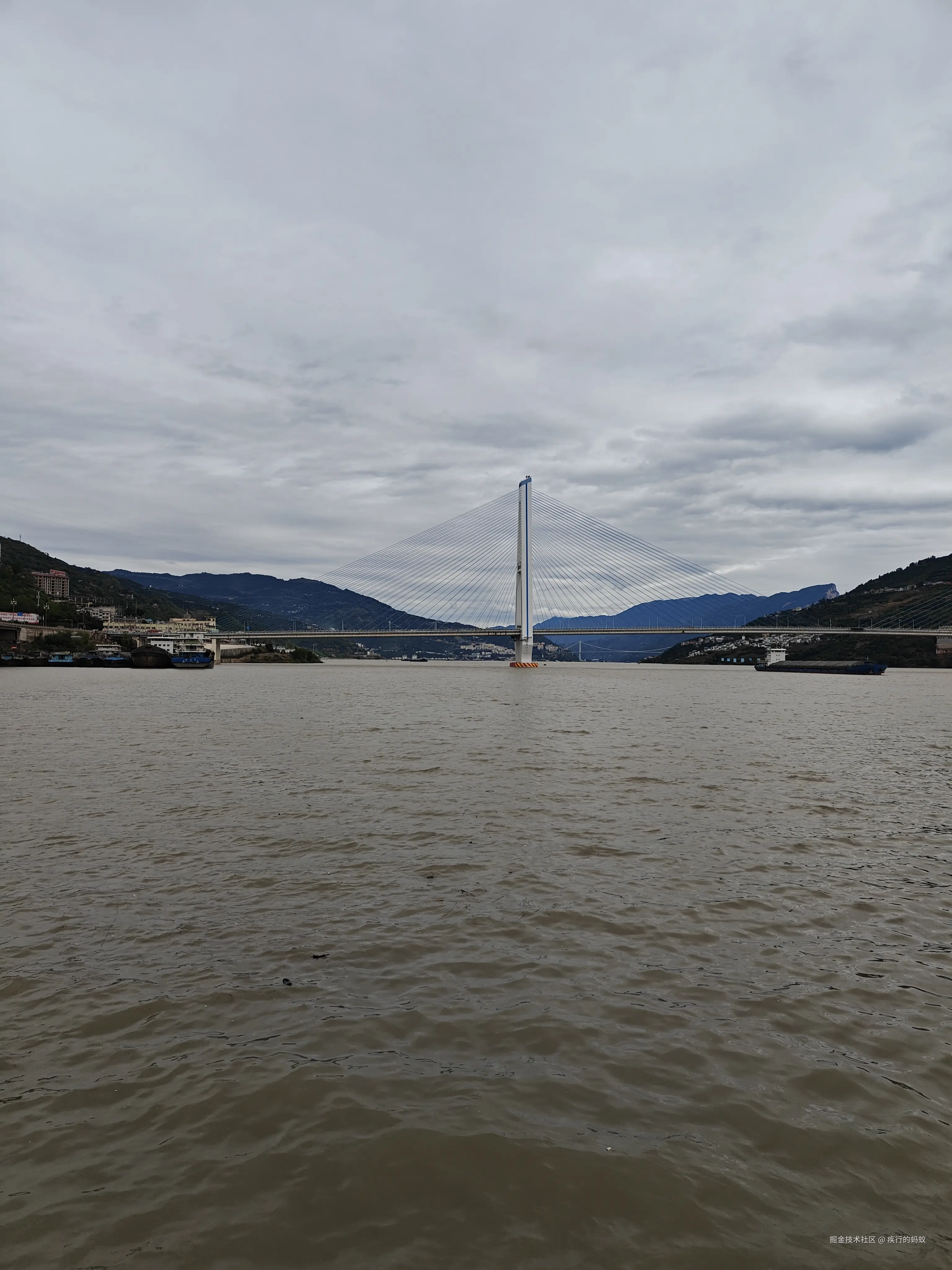 疾行的蚂蚁于2025-10-22 11:38发布的图片