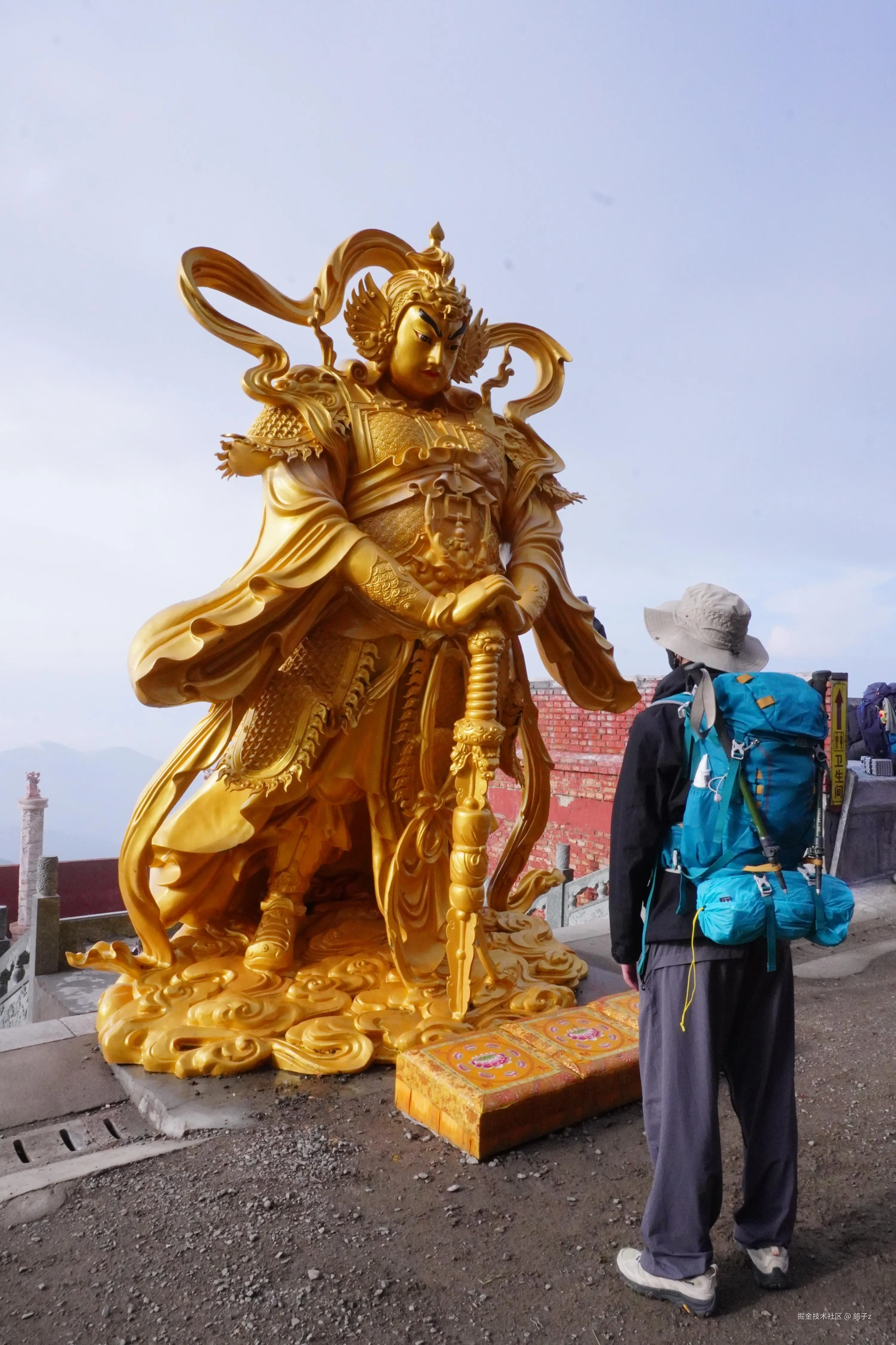 鸽子z于2025-07-14 14:20发布的图片