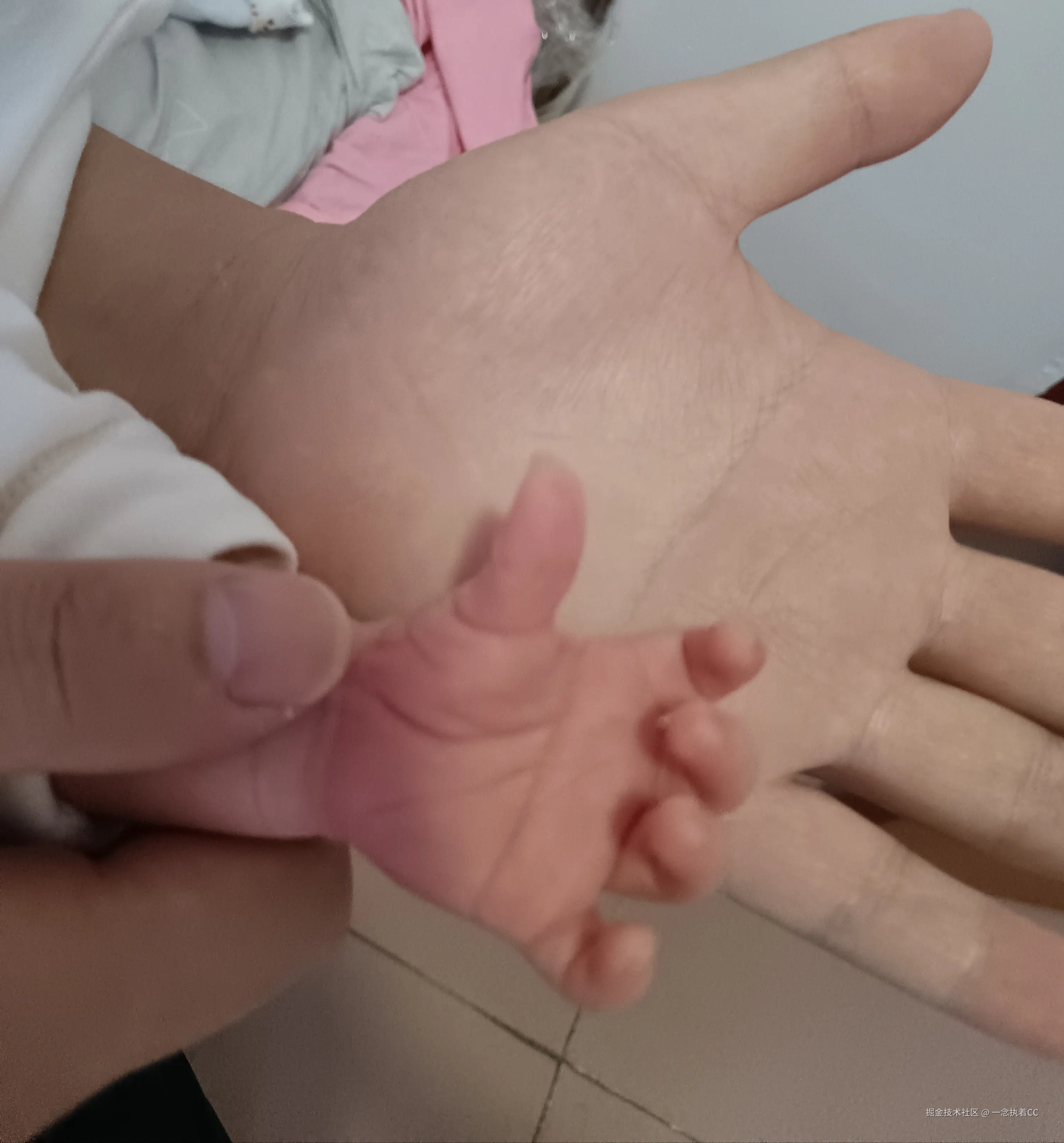 一念执着CC于2026-06-16 02:09发布的图片