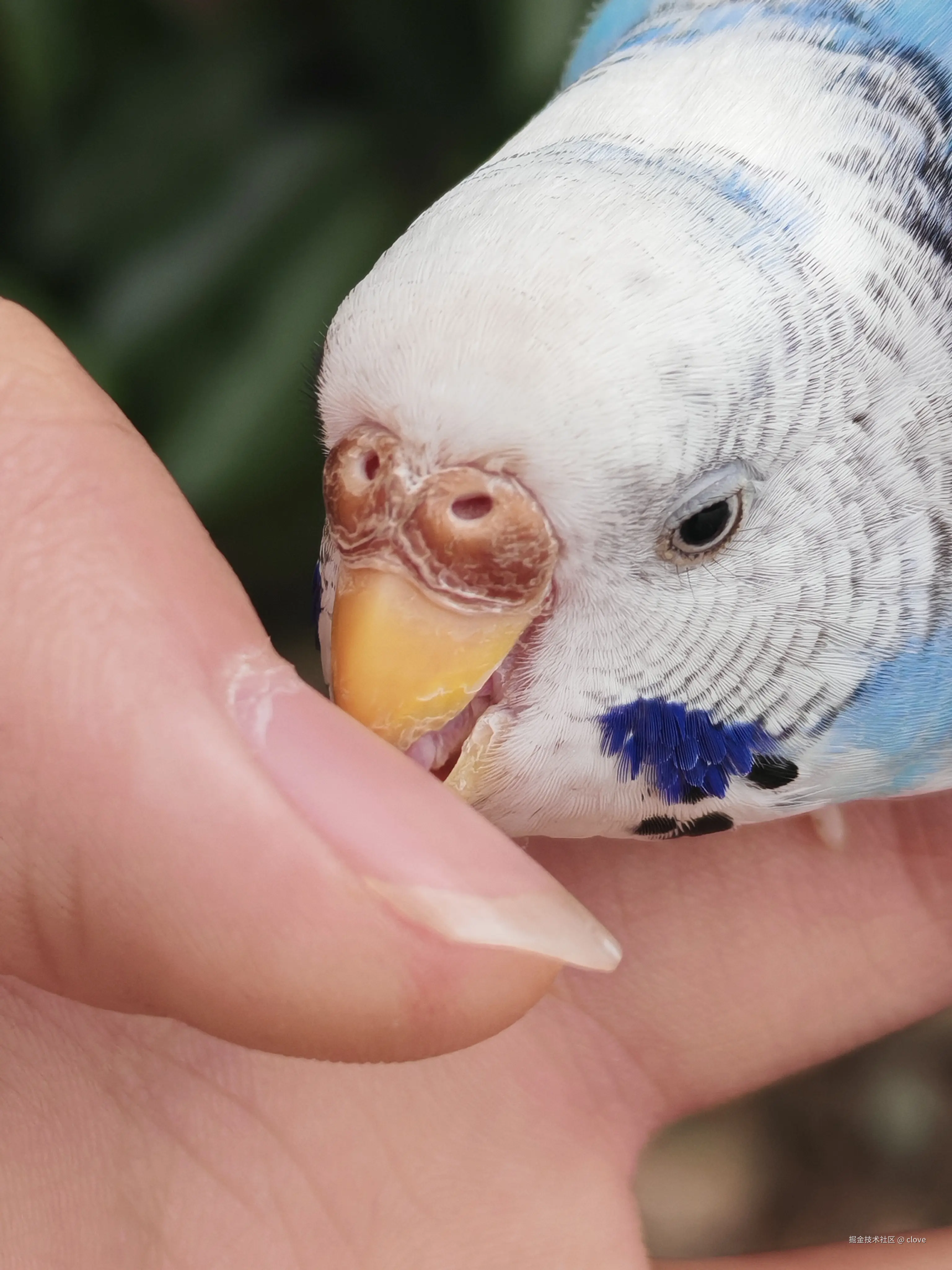 clove于2026-03-15 19:57发布的图片