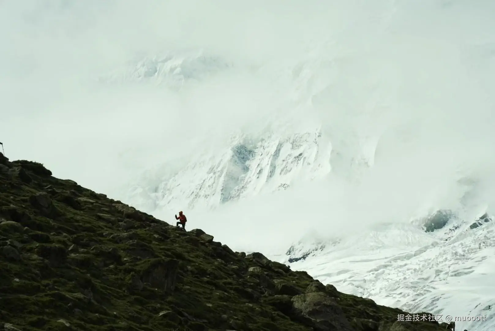 muooott于2025-06-13 10:08发布的图片