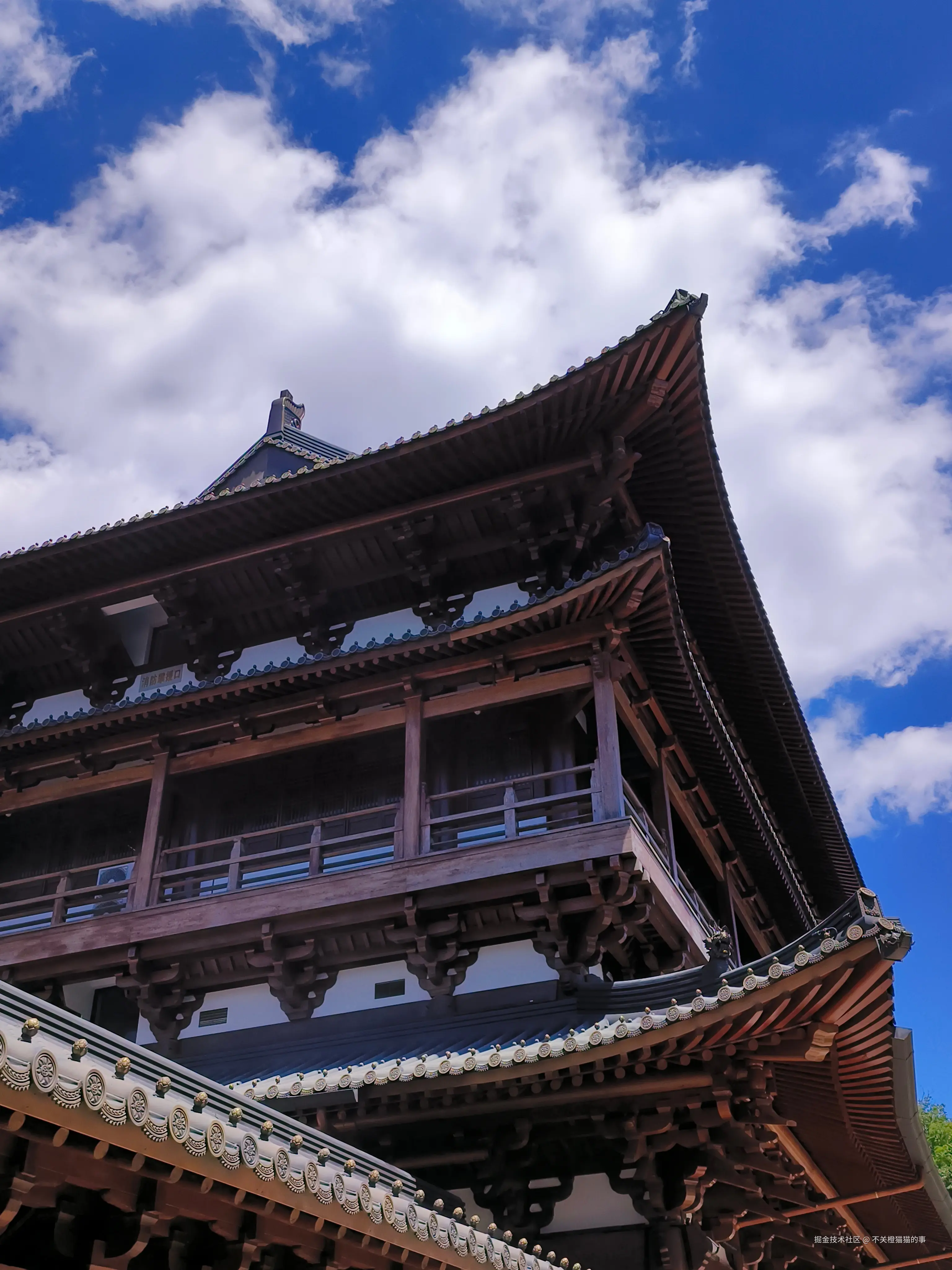 不关橙猫猫的事于2025-08-25 15:39发布的图片