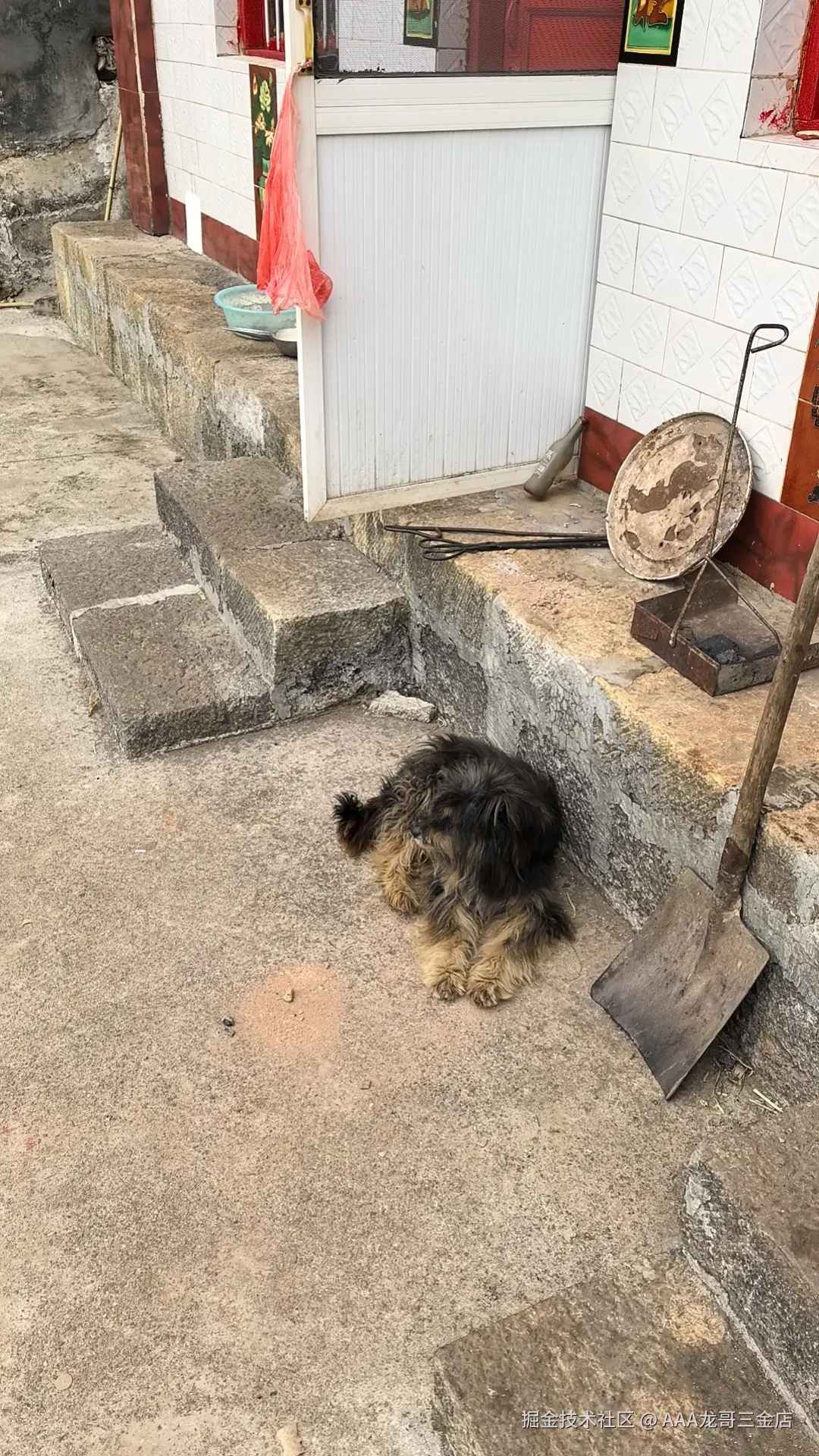 AAA龙哥三金店于2026-02-24 11:34发布的图片