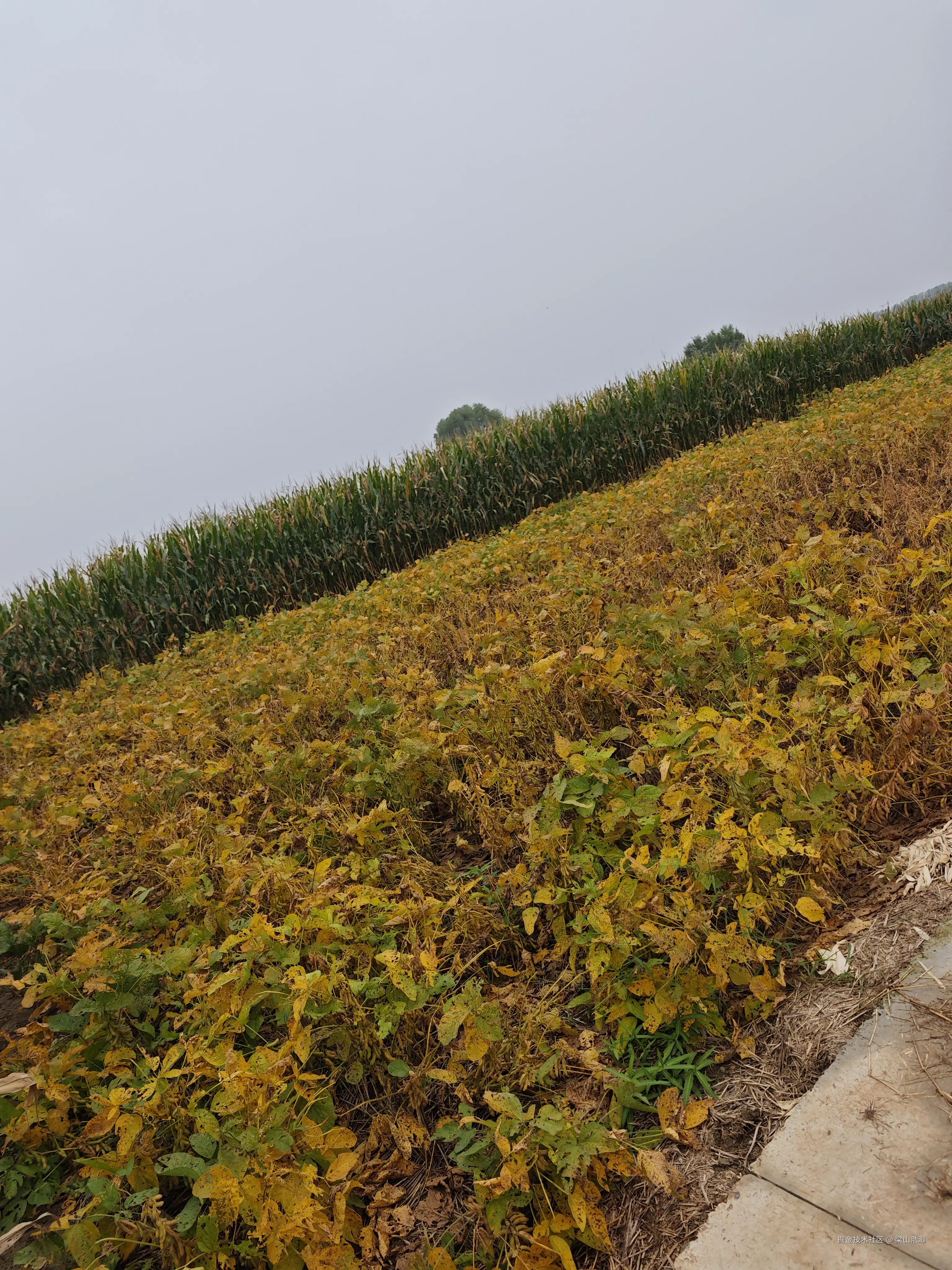 梁山浩瀚于2025-09-29 16:09发布的图片