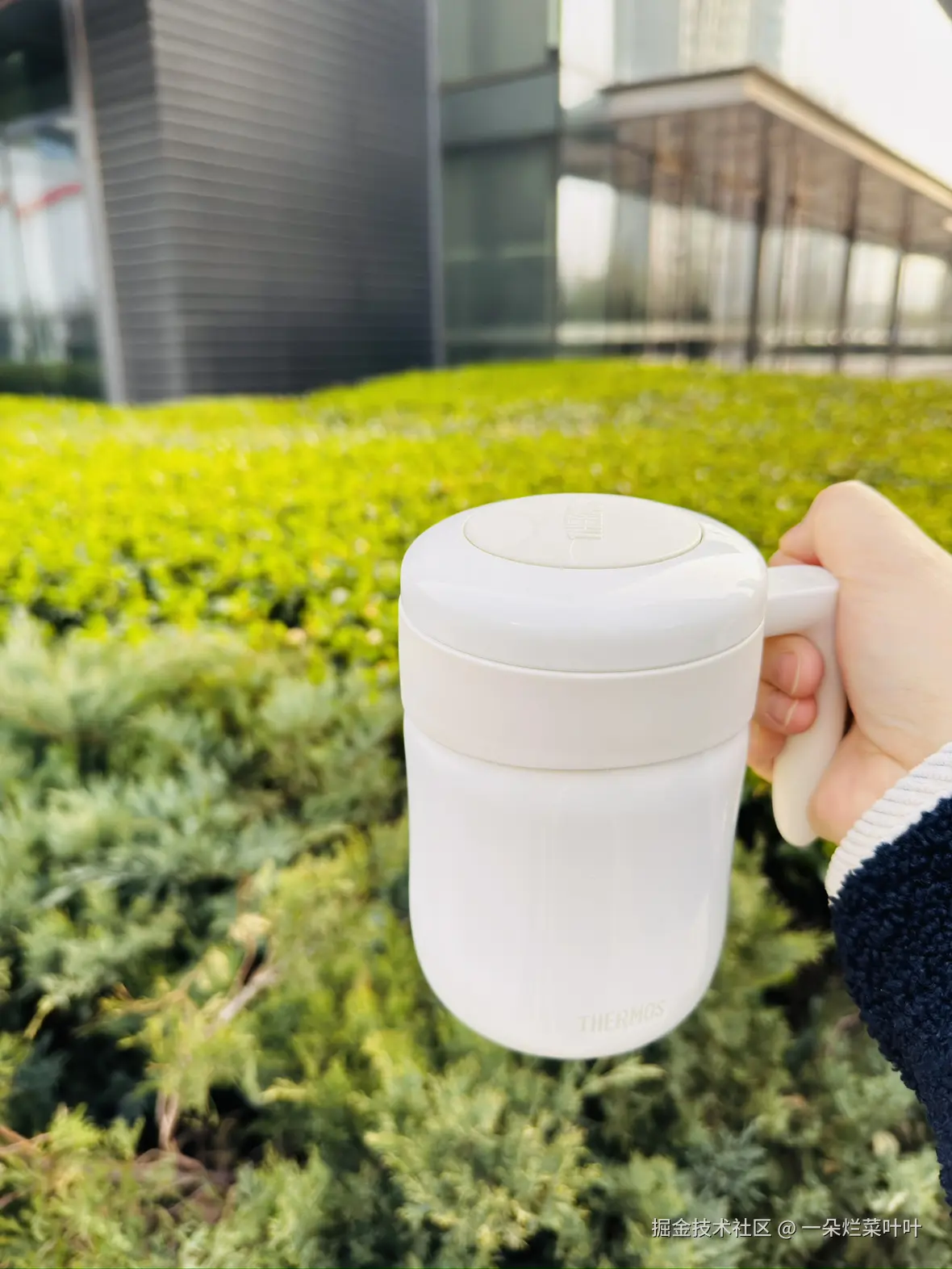 一朵烂菜叶叶于2026-03-25 08:15发布的图片