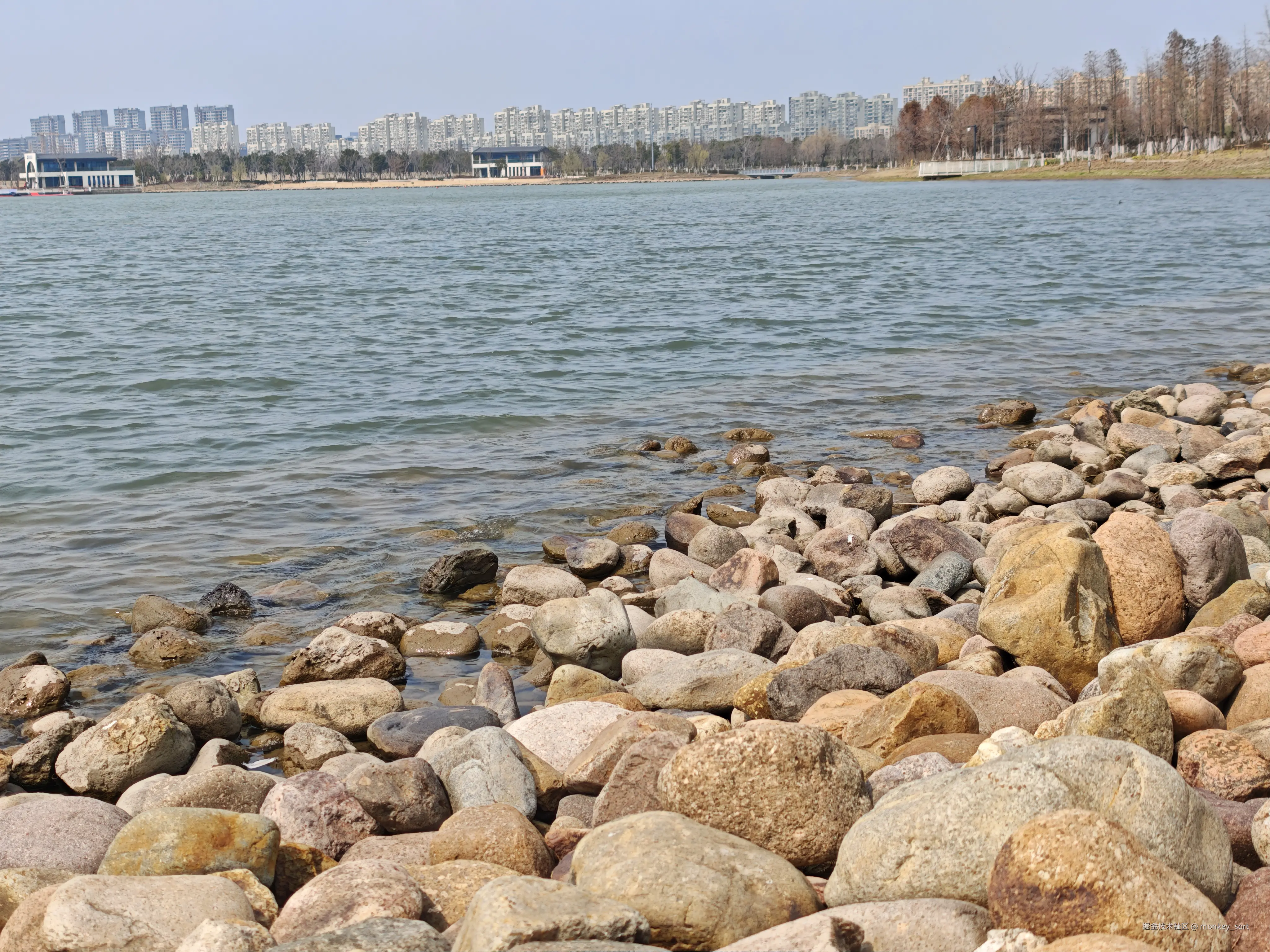 monkey_sort于2026-03-12 16:04发布的图片