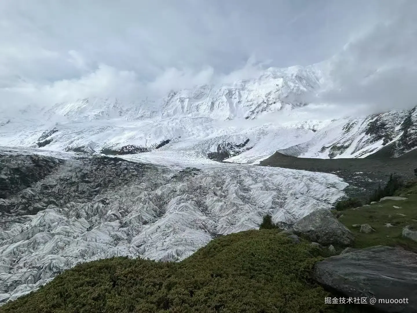 muooott于2025-06-13 10:08发布的图片