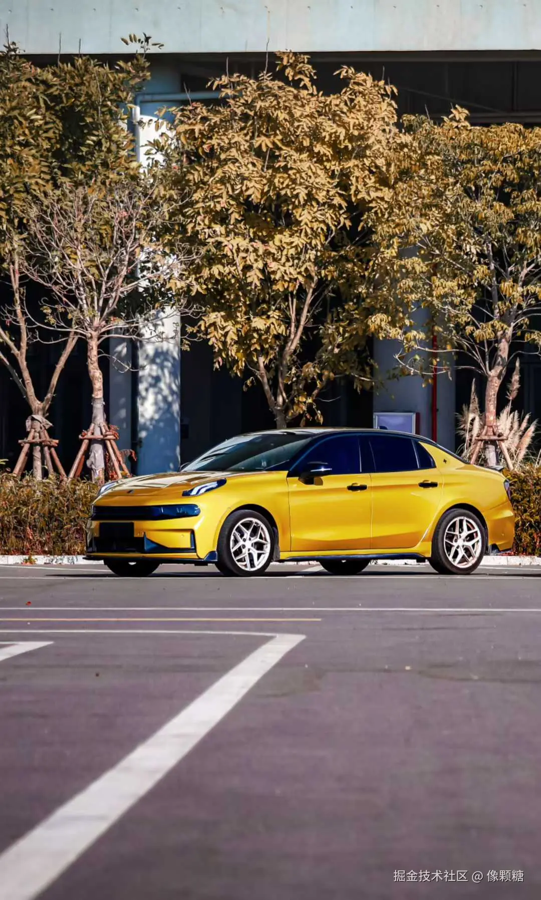 像颗糖于2025-09-12 14:33发布的图片