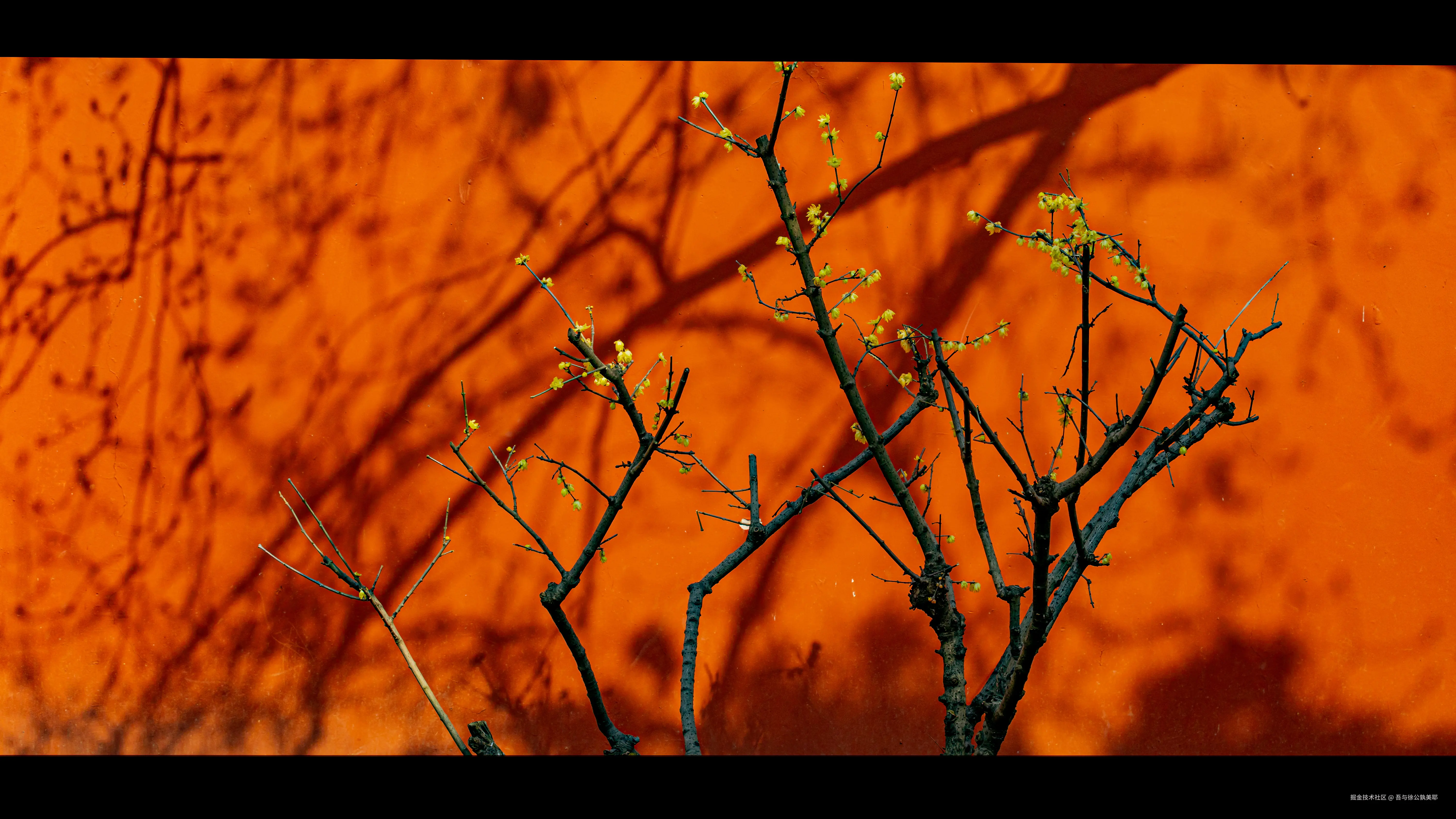 吾与徐公孰美耶于2025-01-16 11:04发布的图片