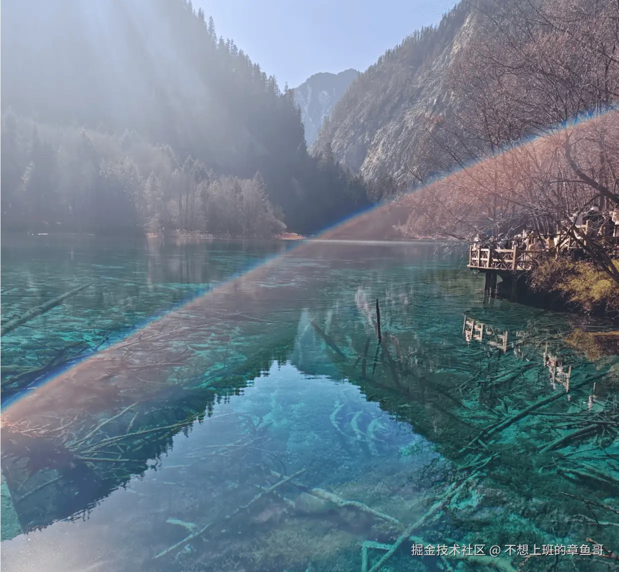 不想上班的章鱼哥于2025-12-09 17:55发布的图片