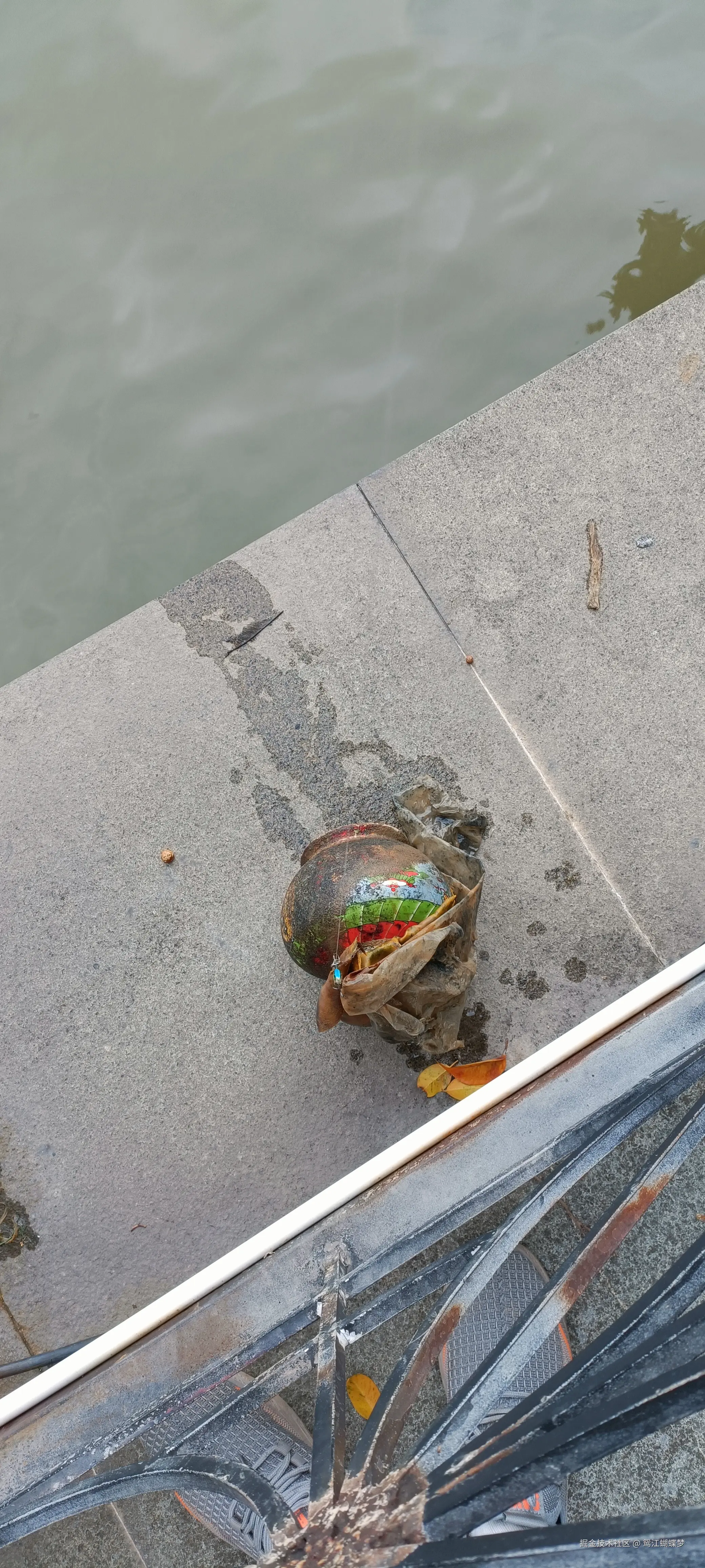 鸳江蝴蝶梦于2024-09-08 17:41发布的图片