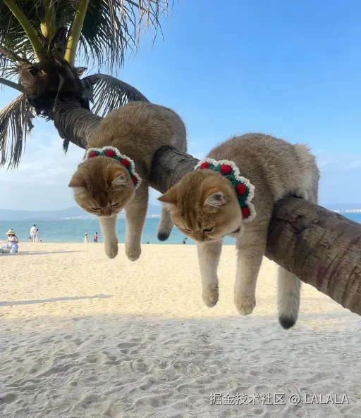 LALALA于2026-03-31 14:12发布的图片