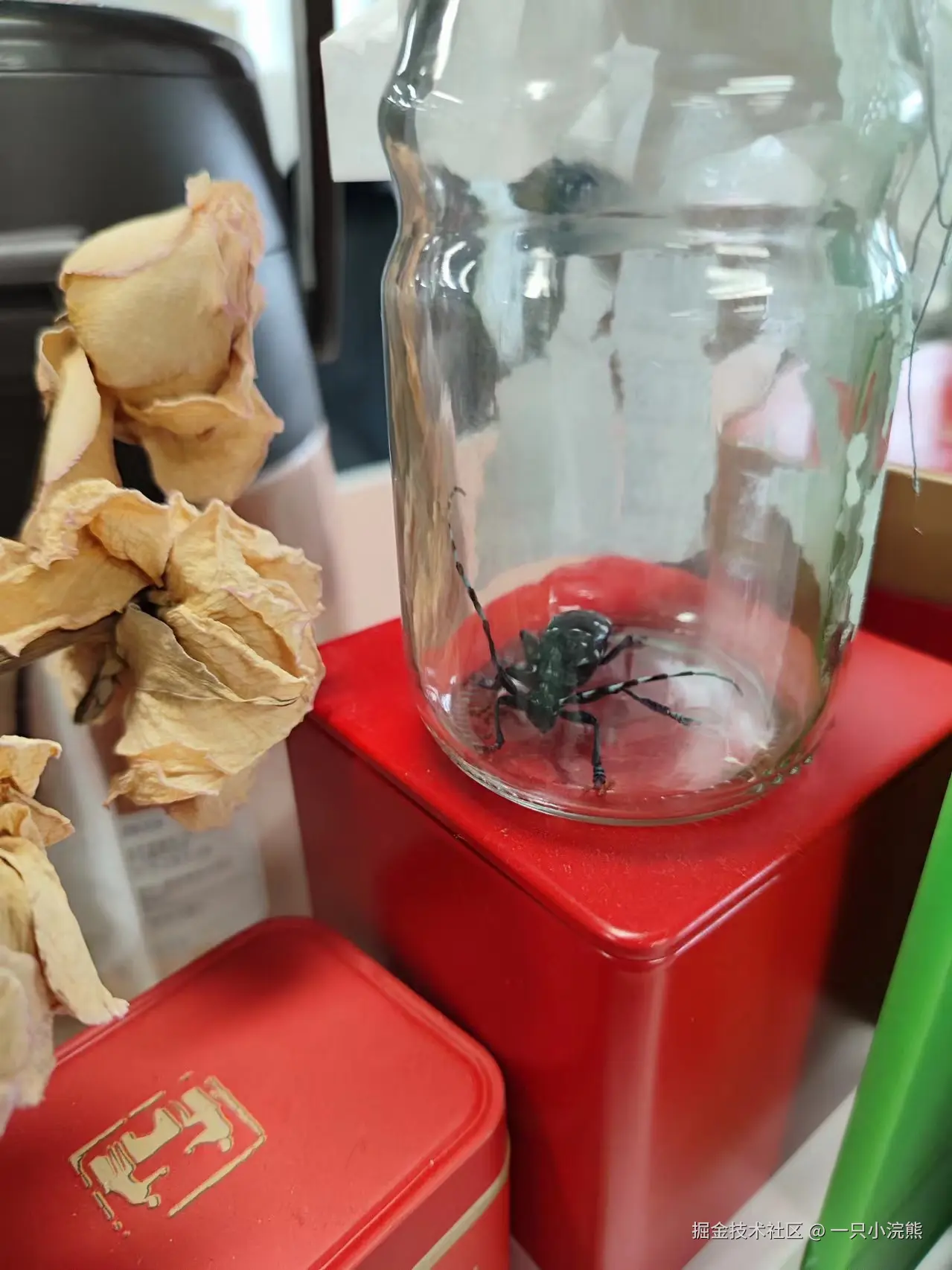 一只小浣熊于2024-07-17 15:38发布的图片