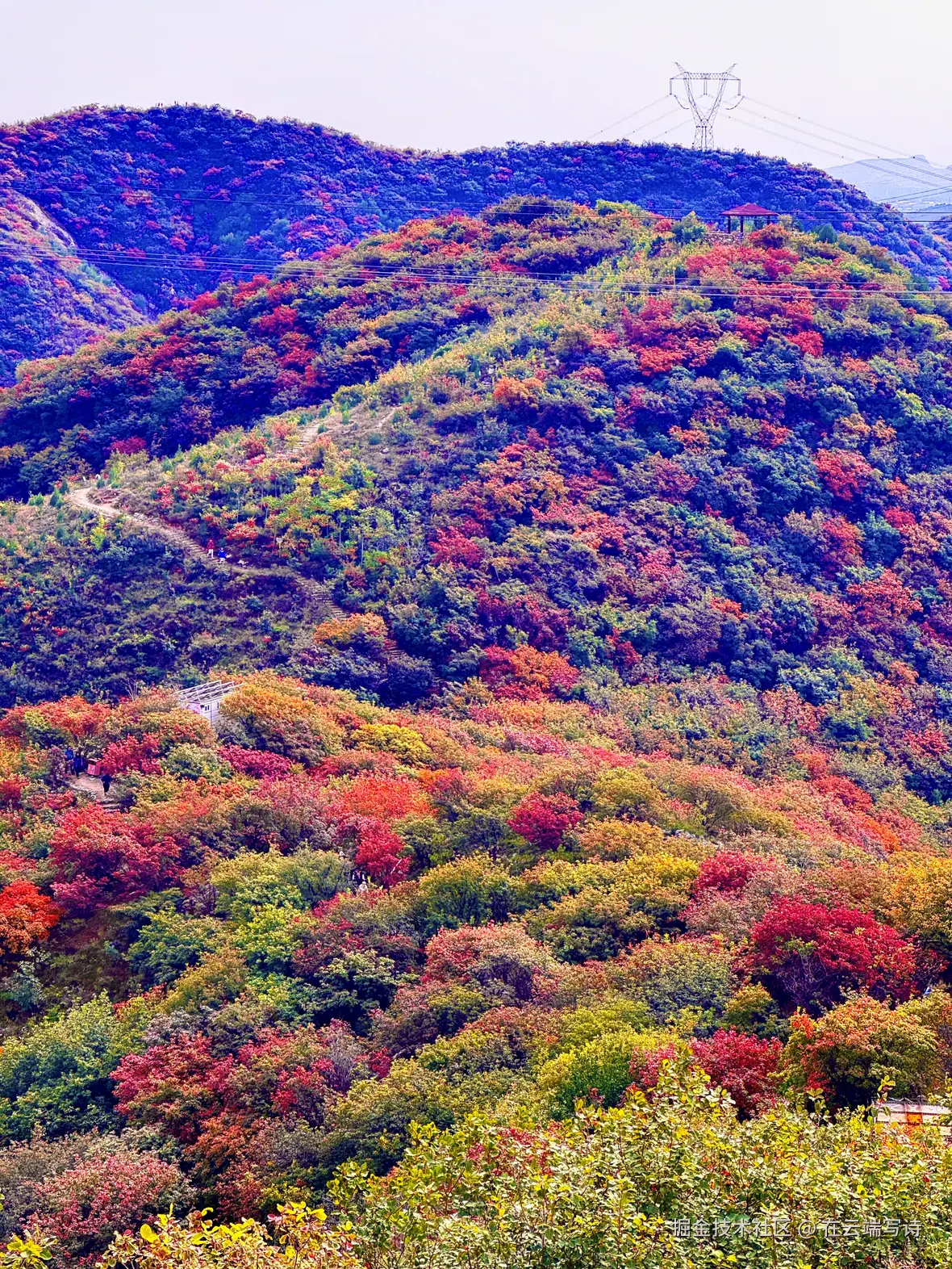 在云端写诗于2024-10-23 15:51发布的图片