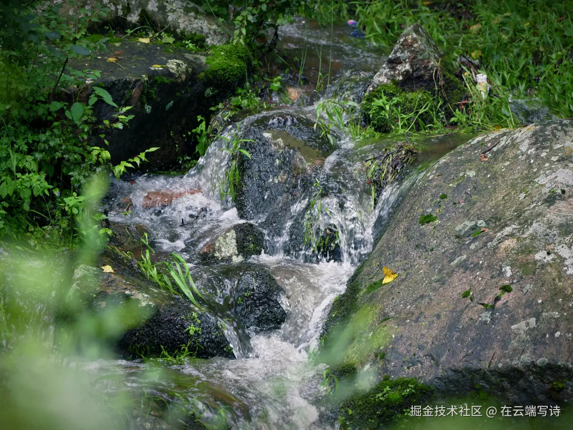 在云端写诗于2025-08-04 02:49发布的图片