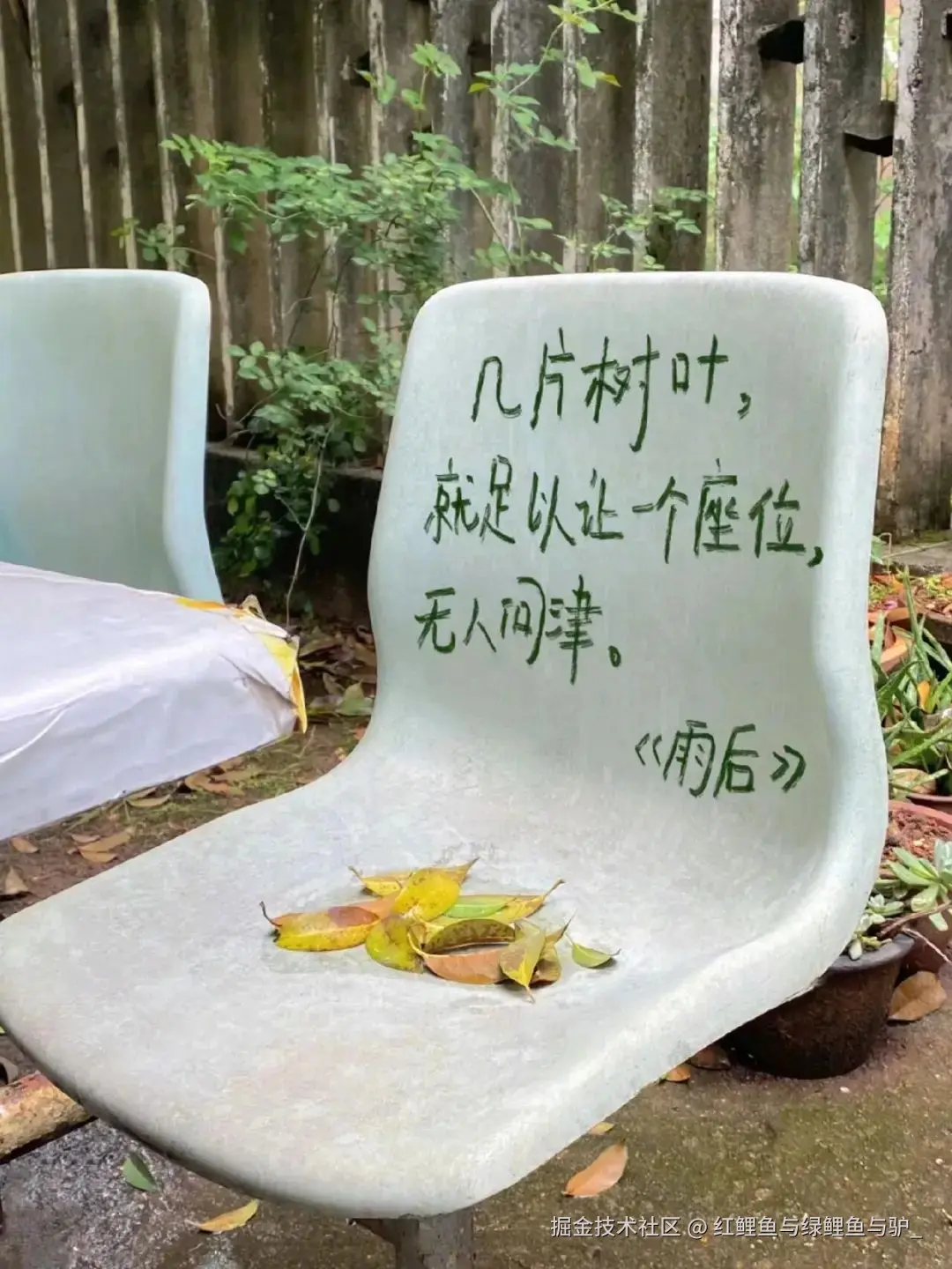 红鲤鱼与绿鲤鱼与驴_于2025-06-09 10:00发布的图片