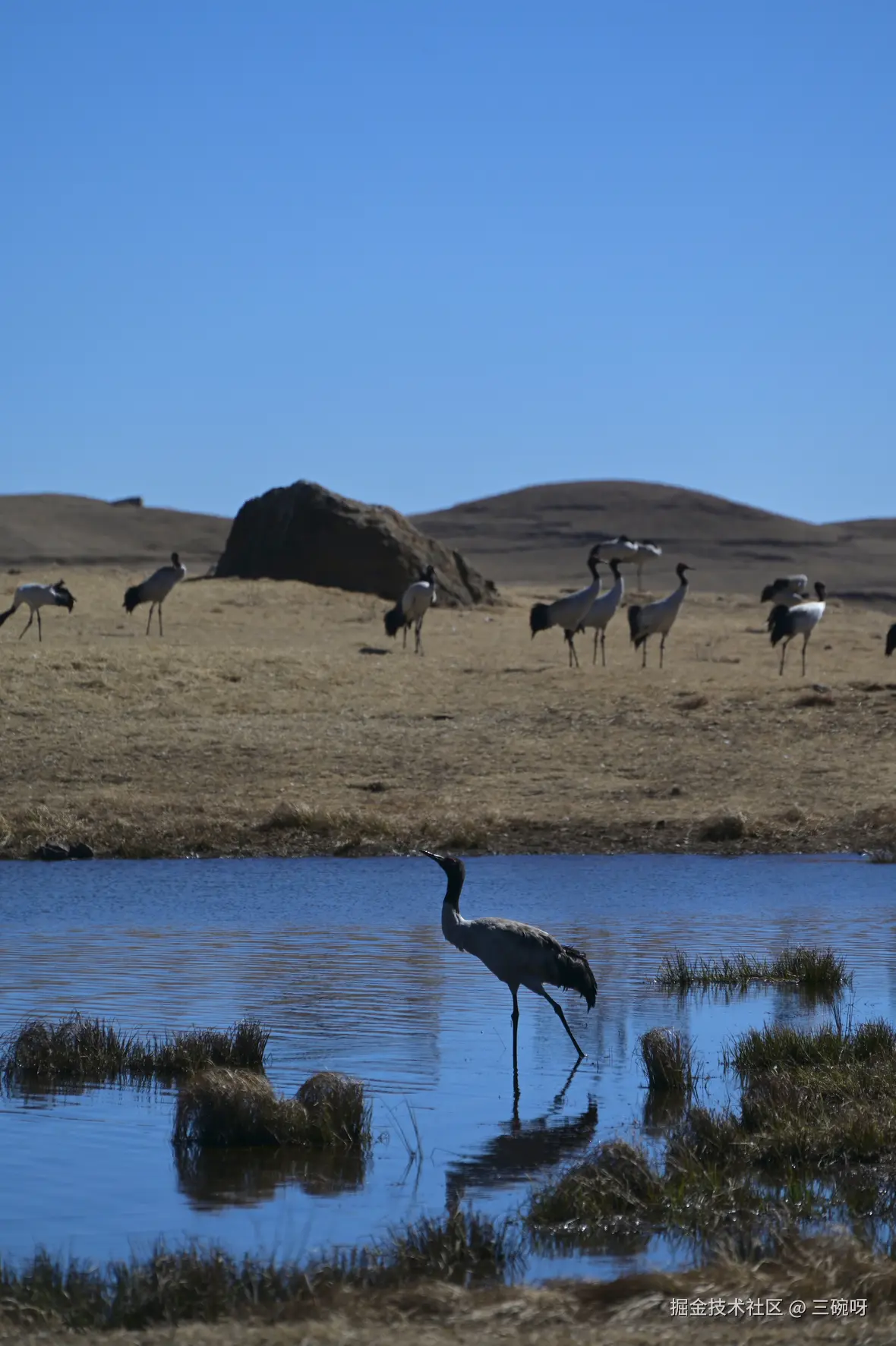 三碗呀于2026-03-05 13:33发布的图片