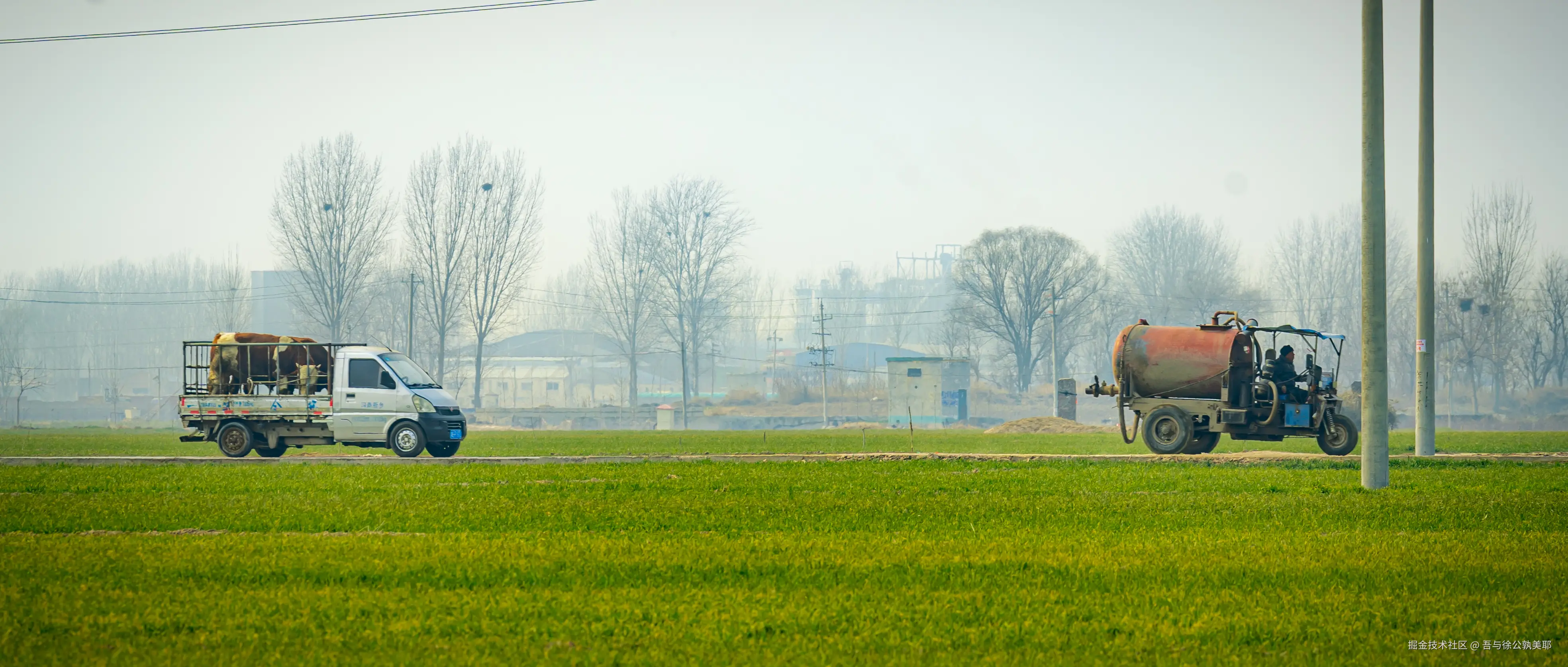 吾与徐公孰美耶于2025-02-12 14:59发布的图片