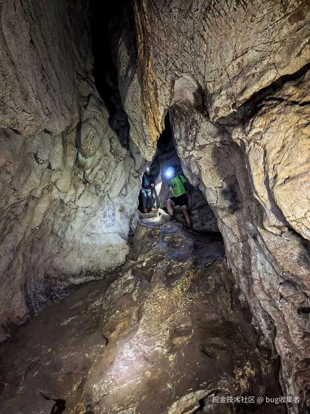 bug收集者于2025-08-11 11:32发布的图片