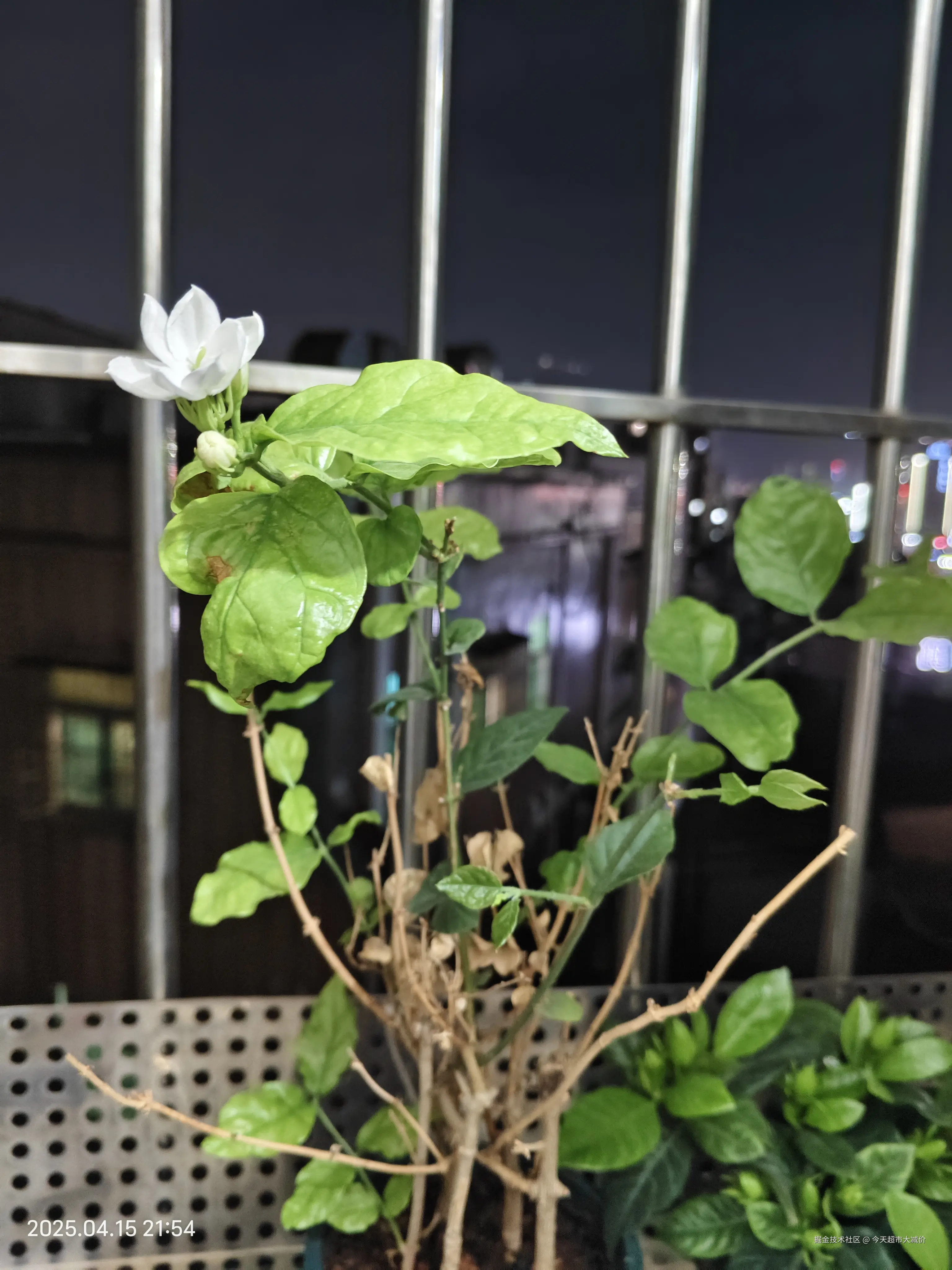 今天超市大减价于2025-04-16 11:05发布的图片