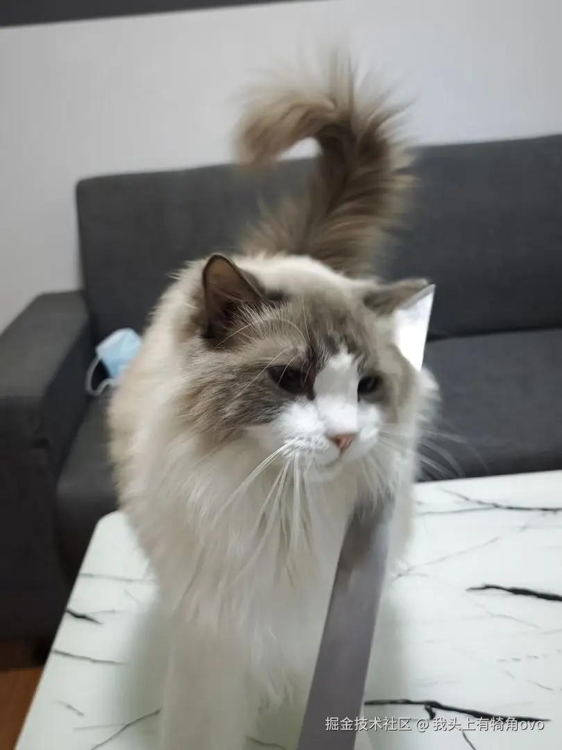 我头上有犄角ovo于2025-06-27 14:25发布的图片