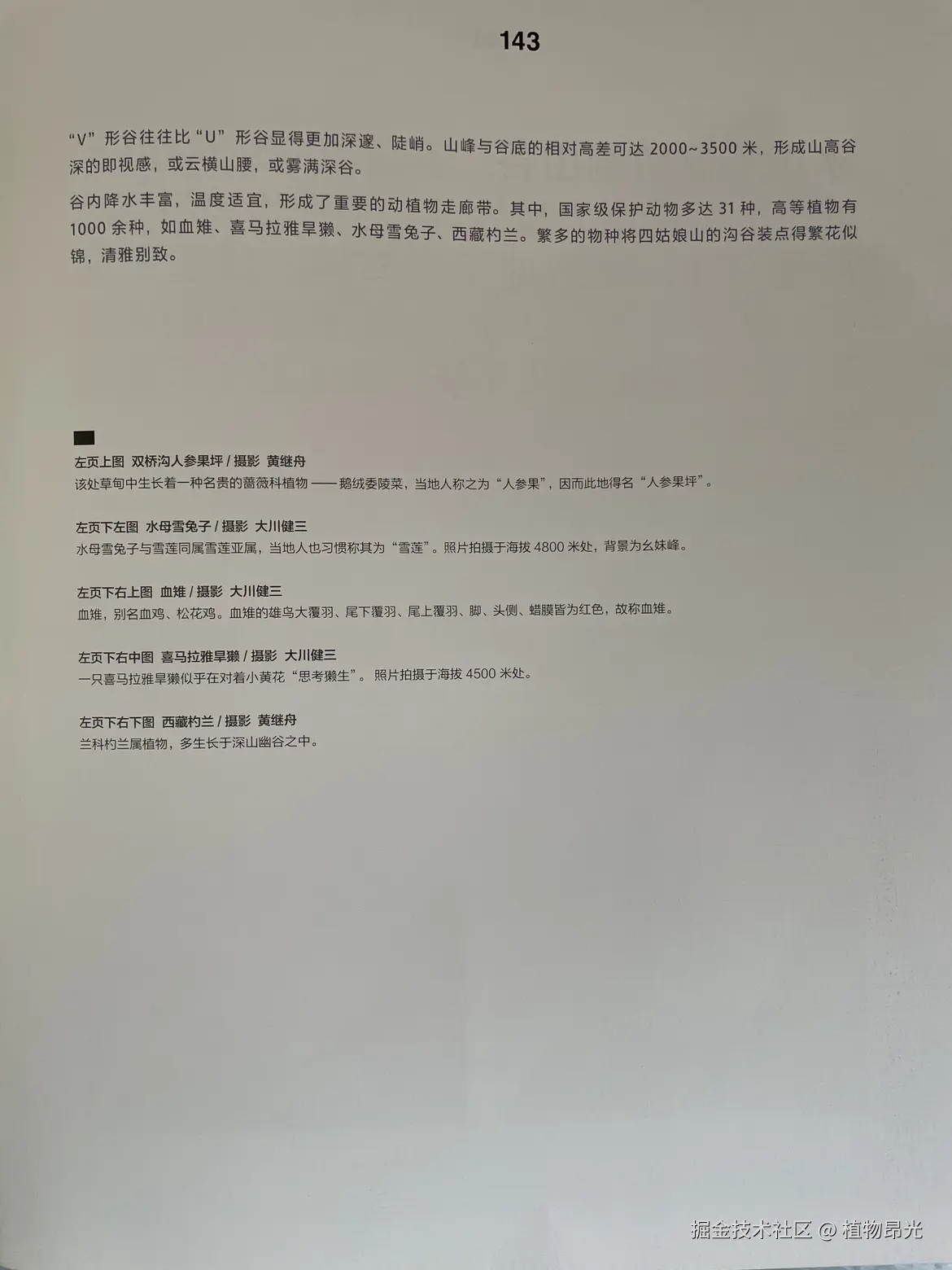 植物昂光于2026-03-14 12:18发布的图片