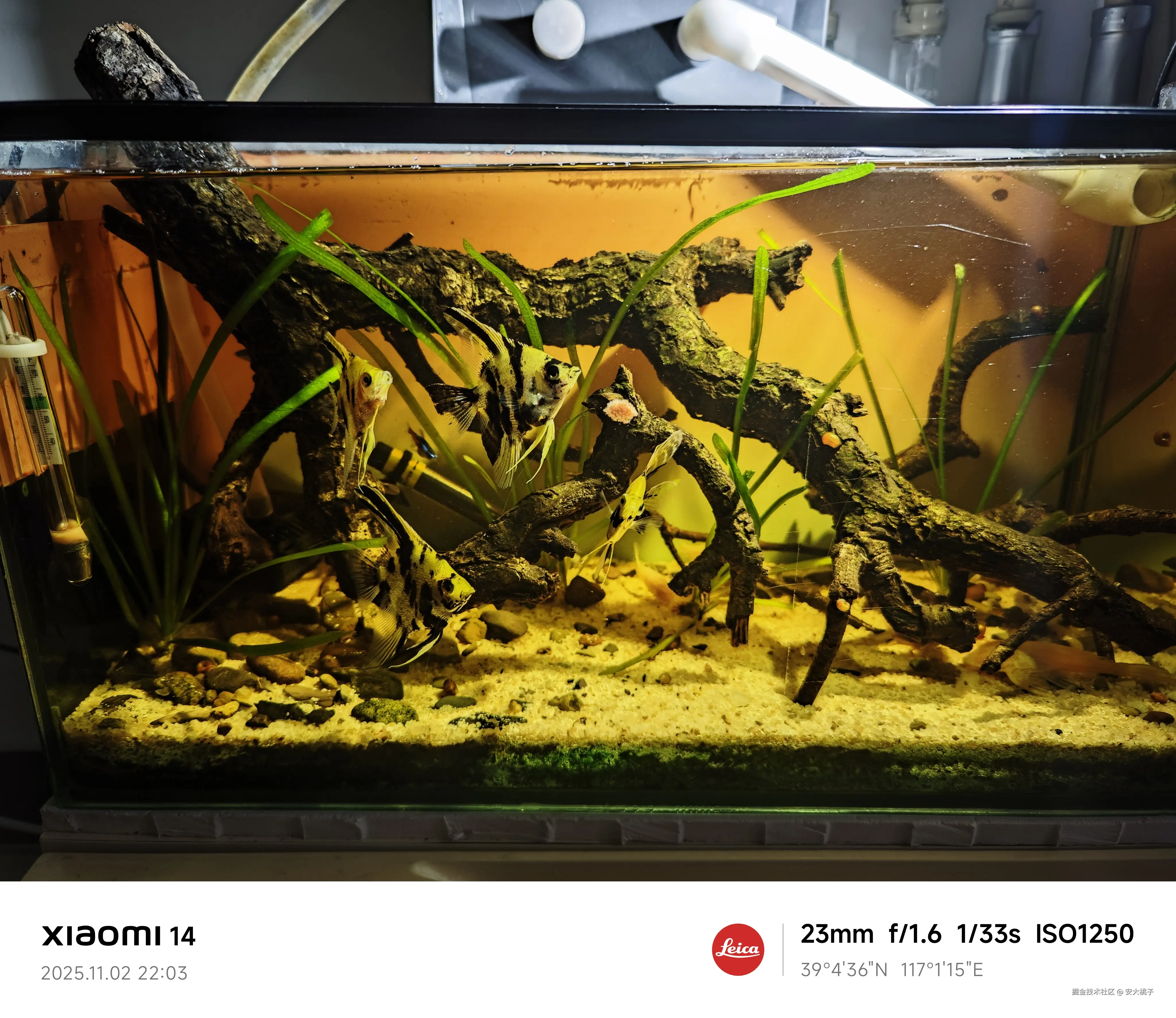 安大桃子于2025-11-03 16:41发布的图片