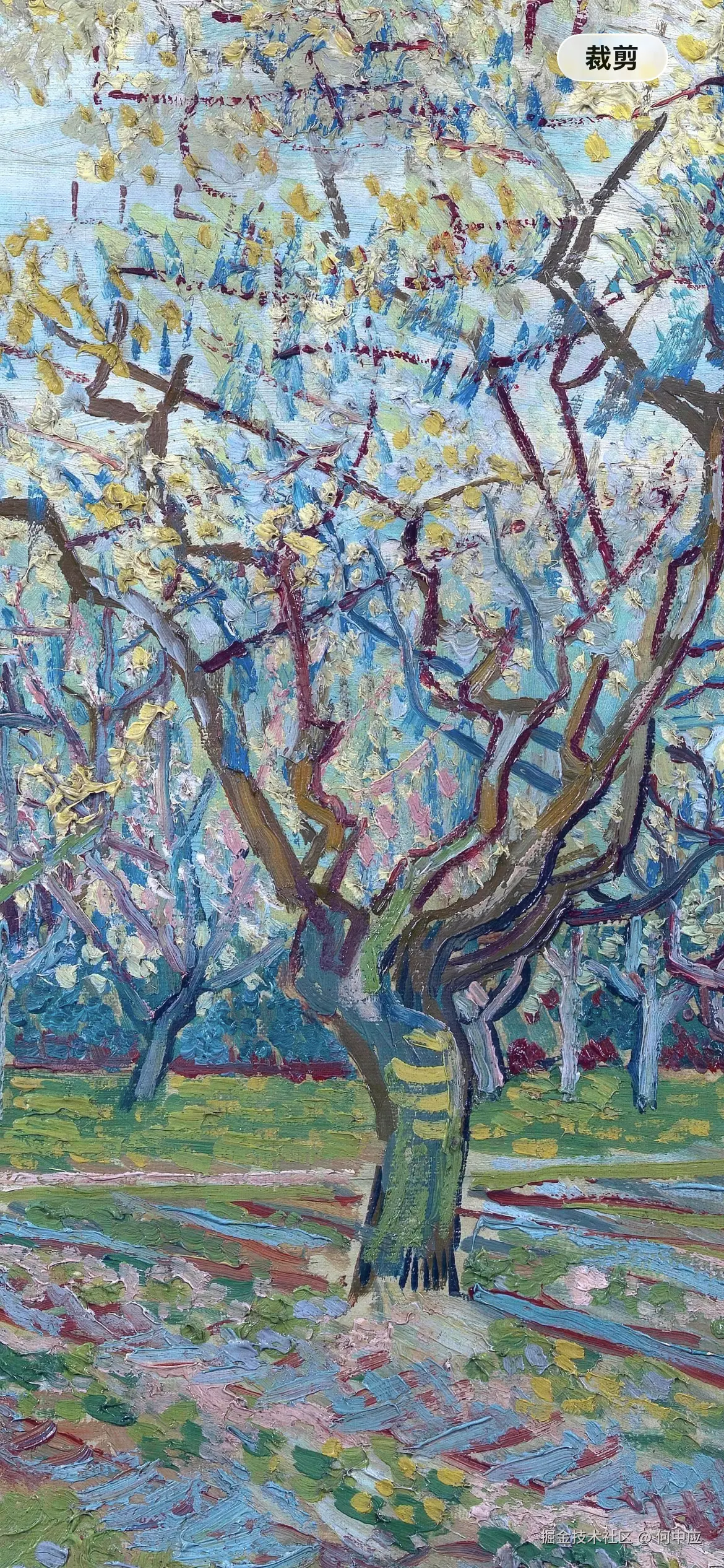 何中应于2026-03-14 13:36发布的图片