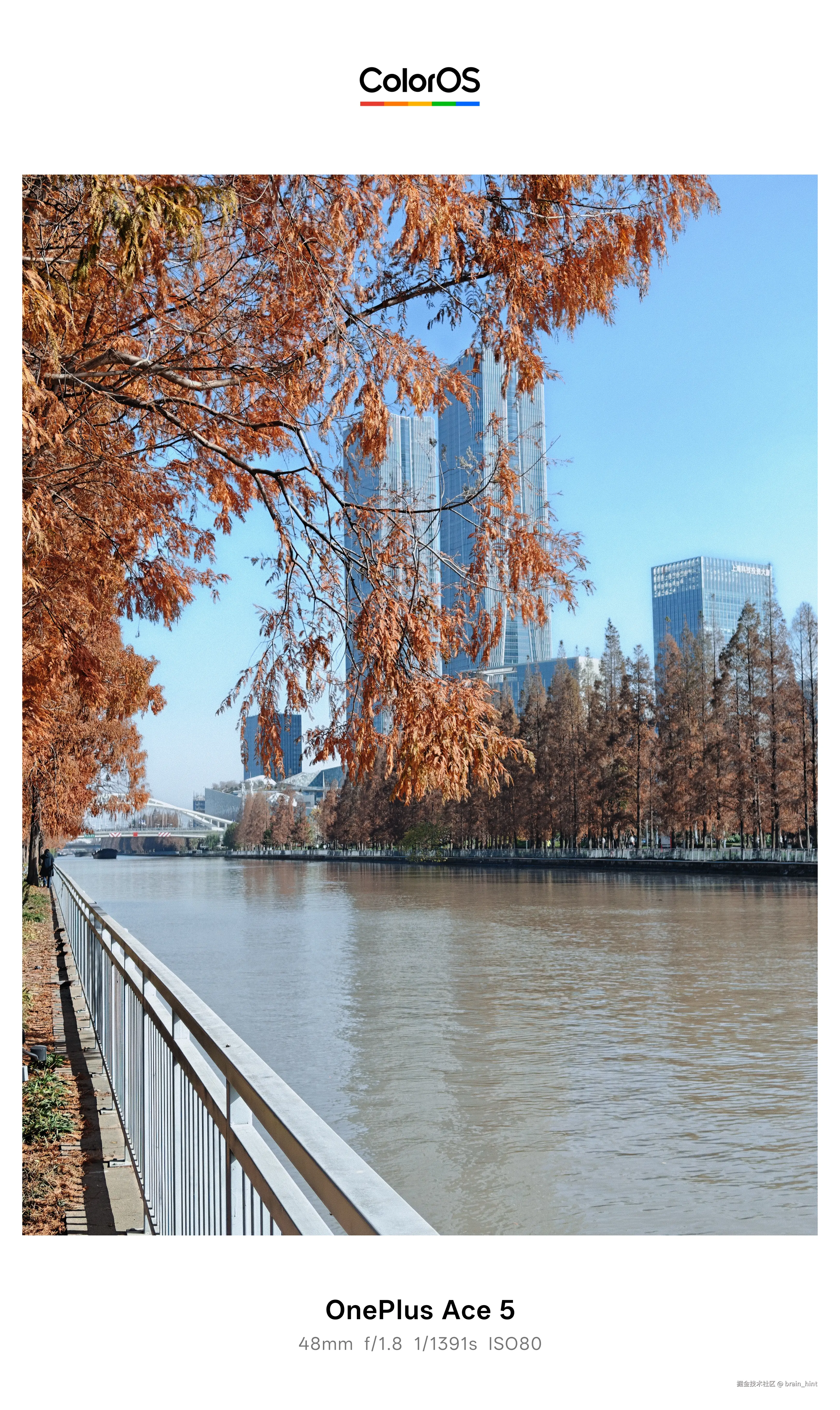 brain_hint于2025-12-15 12:59发布的图片